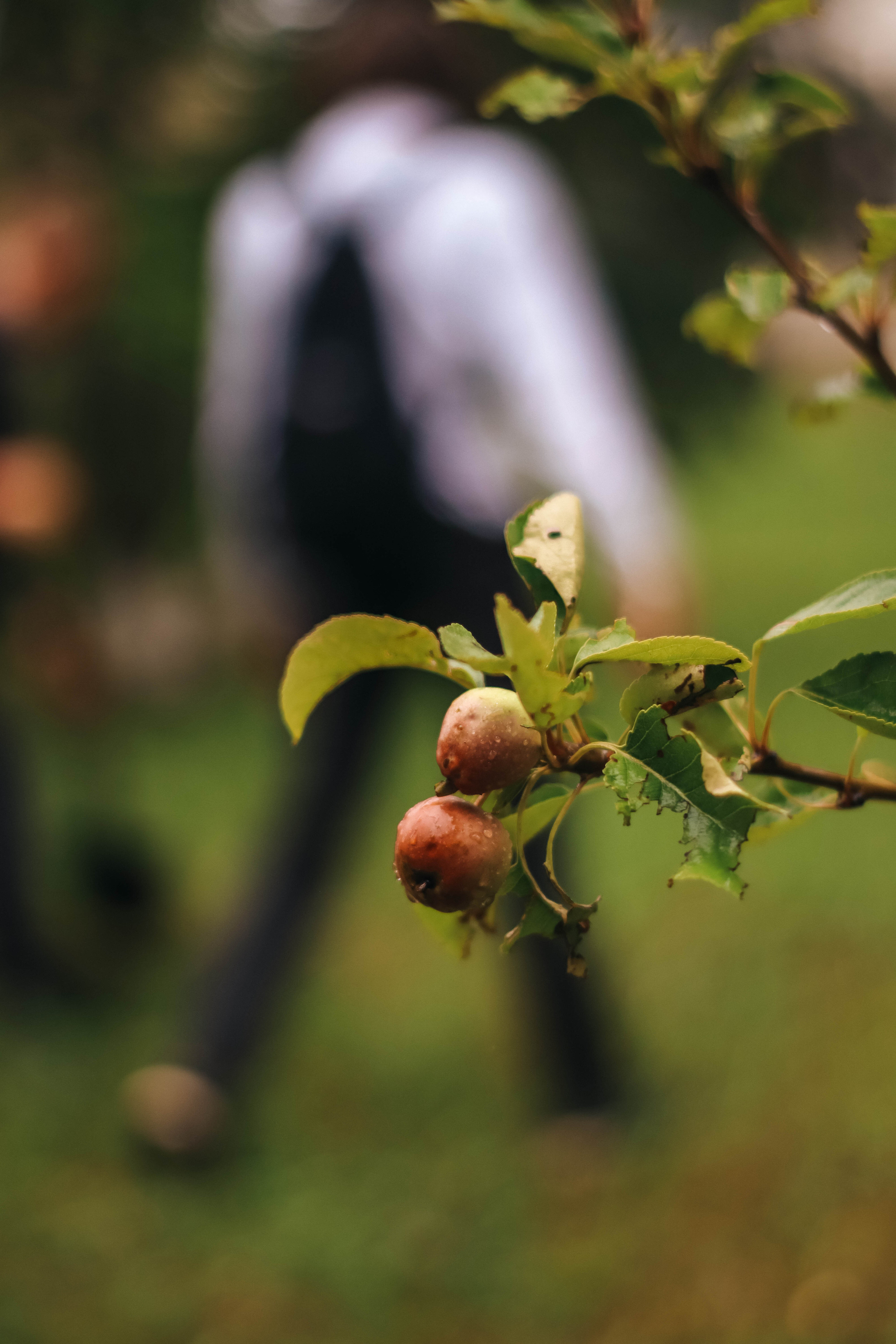 Выпускной 9 класс. Фотограф Дарья Маташкова