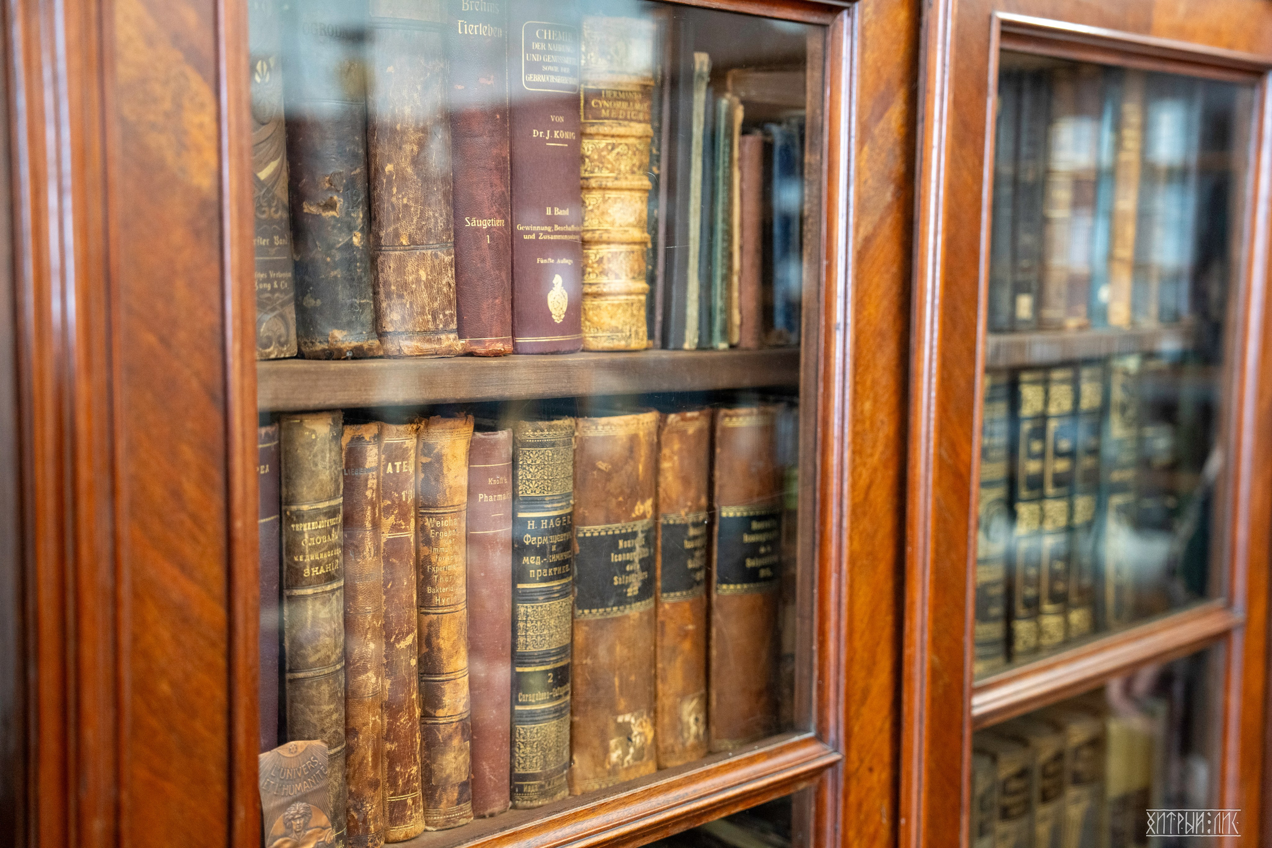 Беларусь. Фотограф-путешественник Самойлов Максим «Sly Fox»