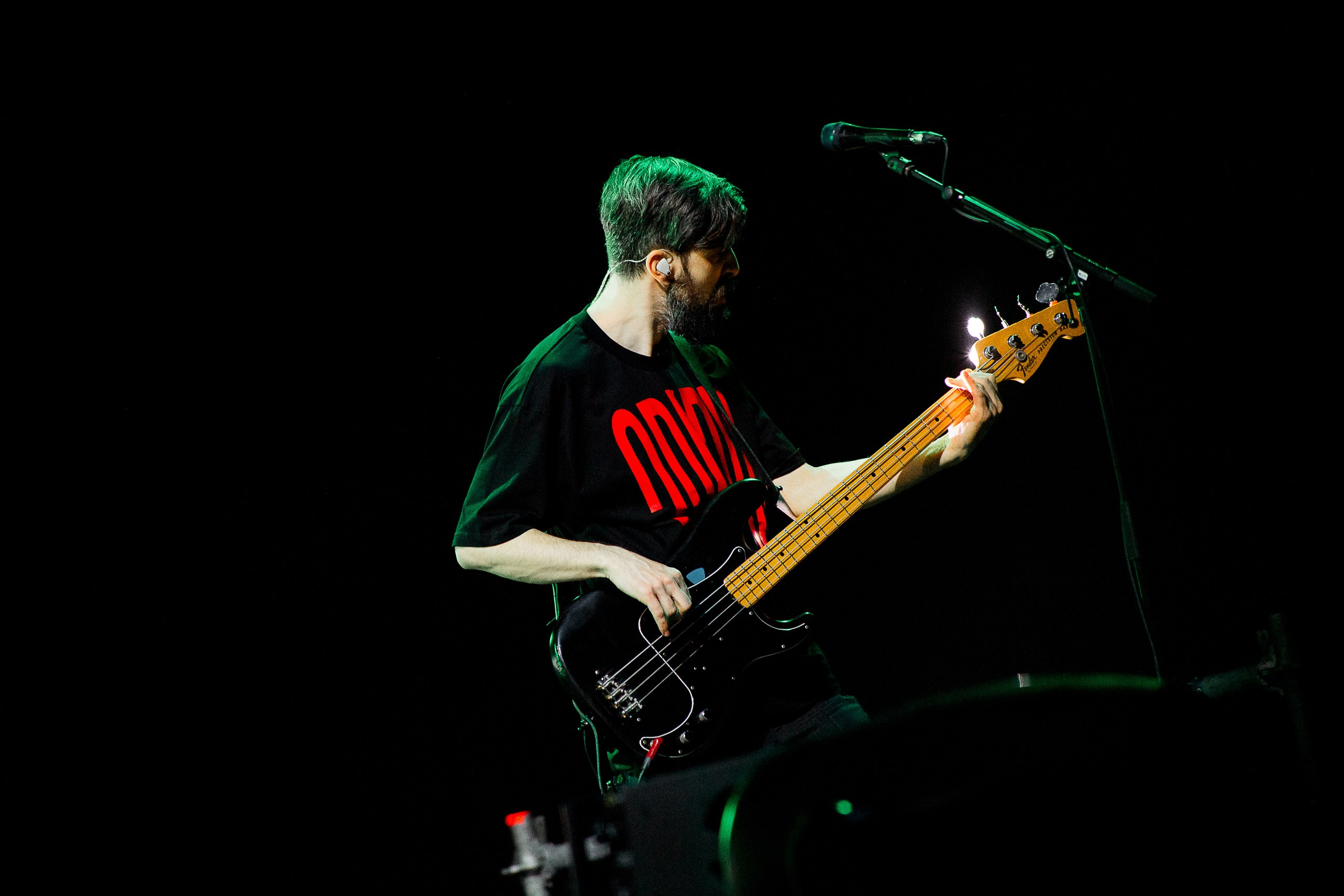 Звери 2025. Репортажный фотограф в Кемерово