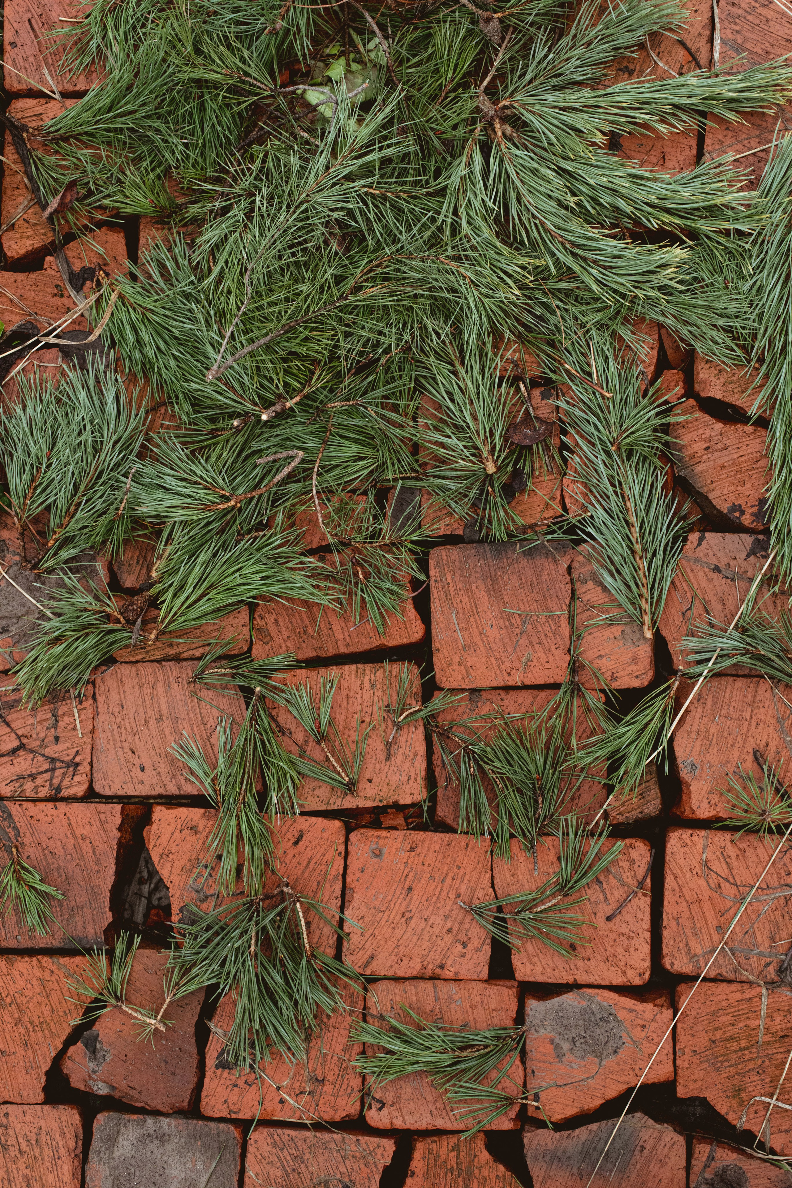 Природа. Фотограф Эльмира Лин