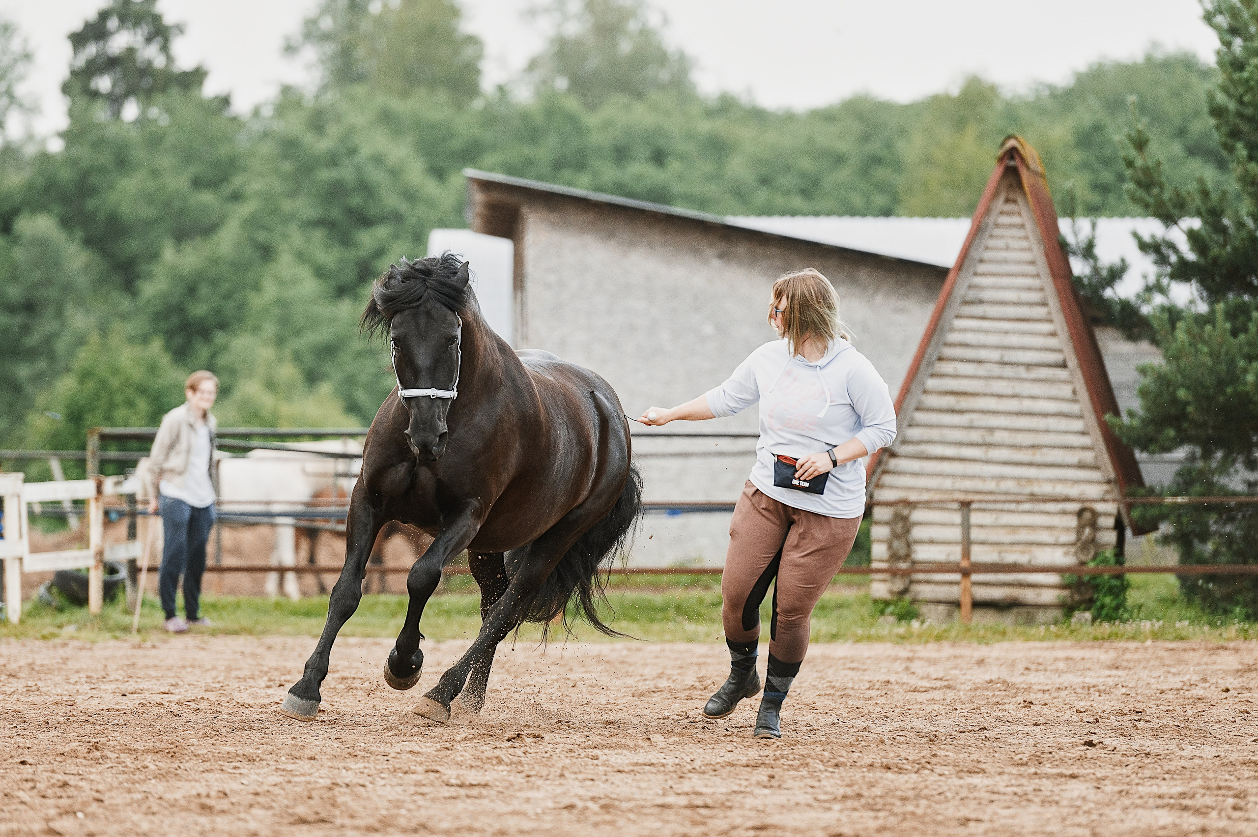 Мара. Фотограф-анималист