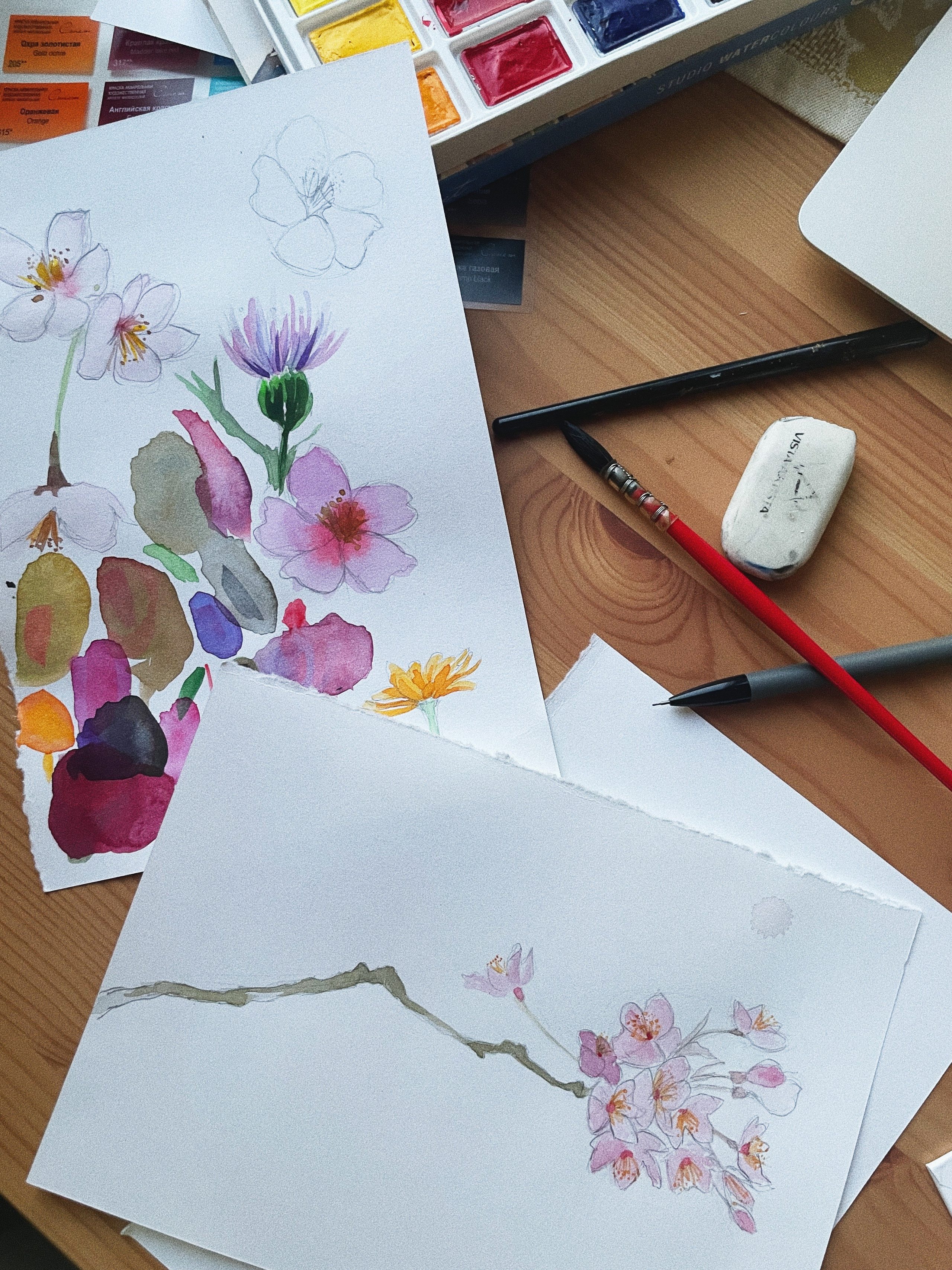 Аня Степанова