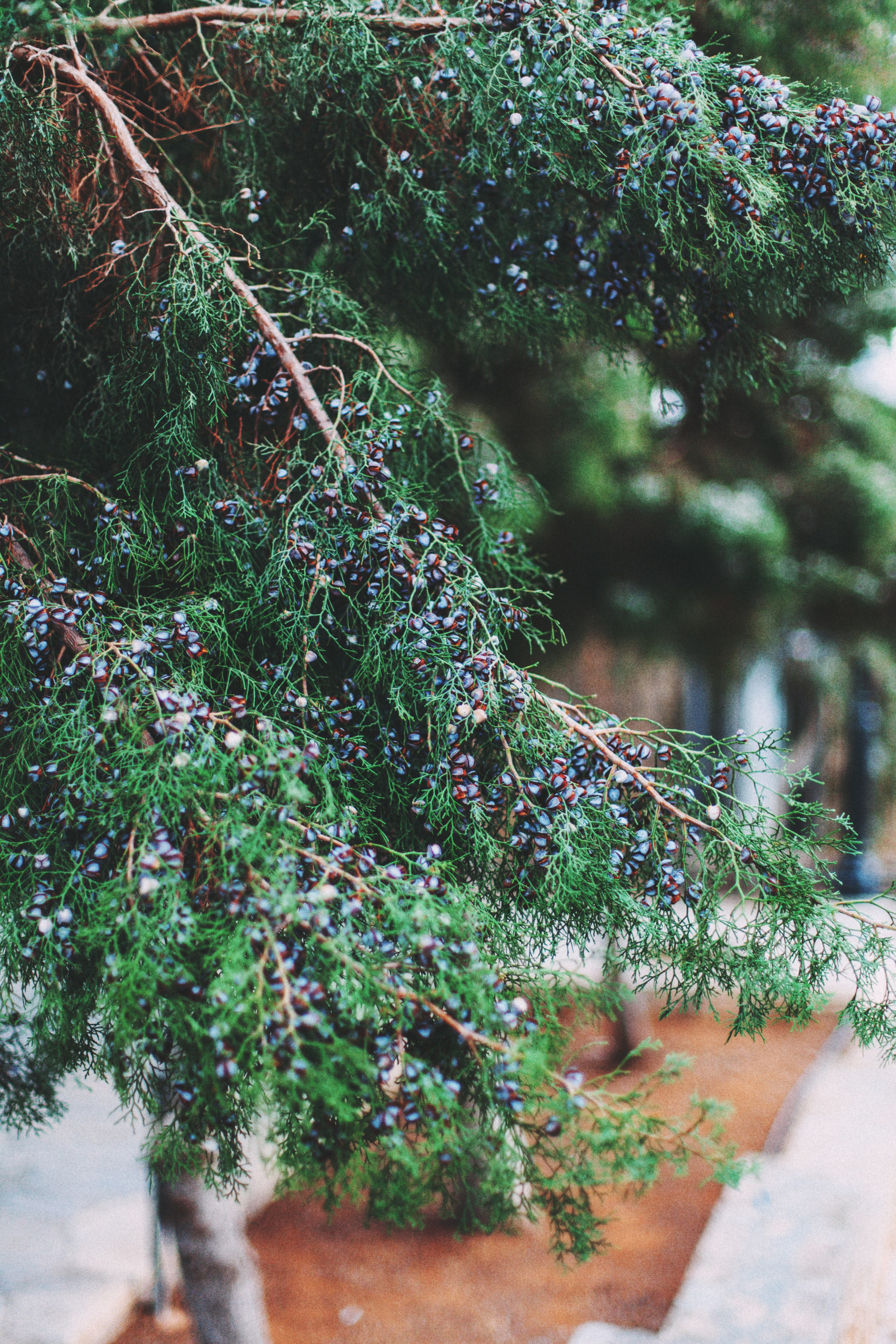 Кипр. Аня Степанова