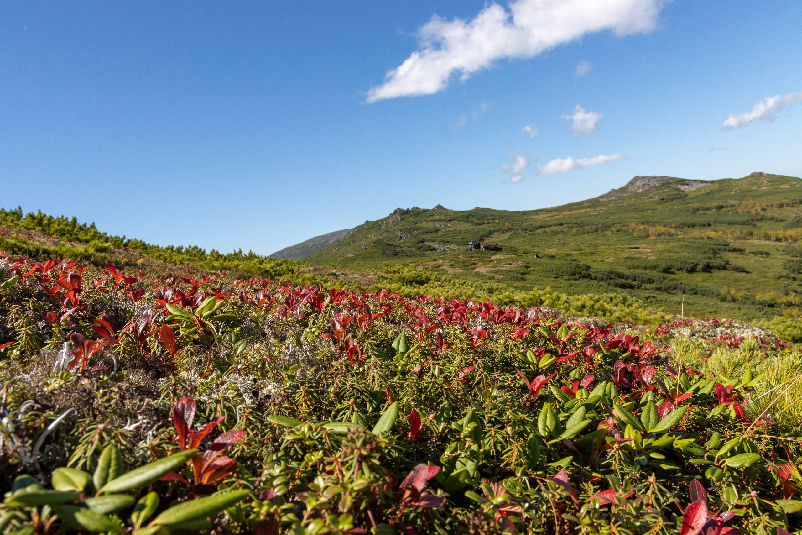 Гора Останцовая Хабаровского края. Дальний Восток — природа и достопримечательности
