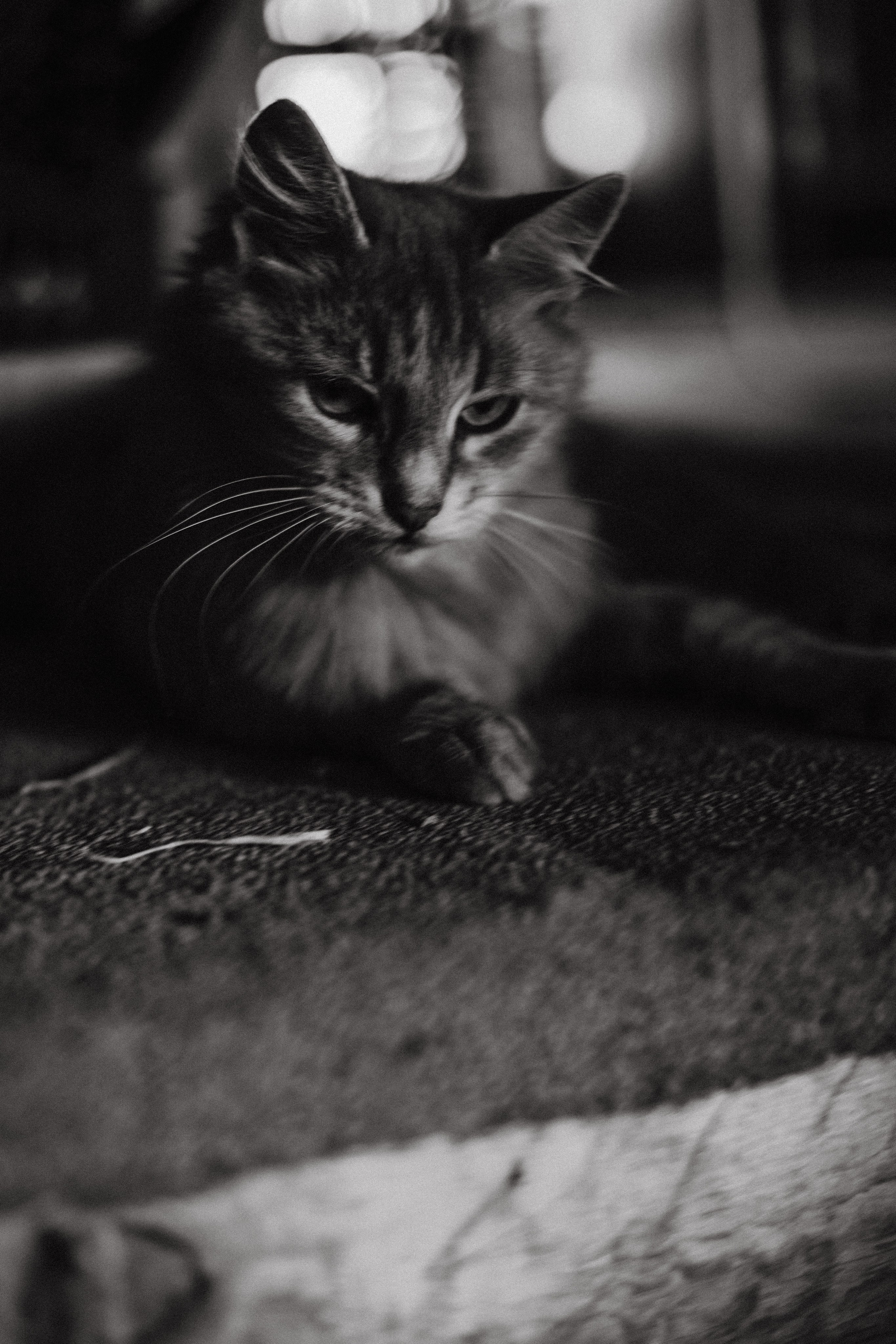 Арсен. Дом ретро. Фотограф в Нижнем Новгороде