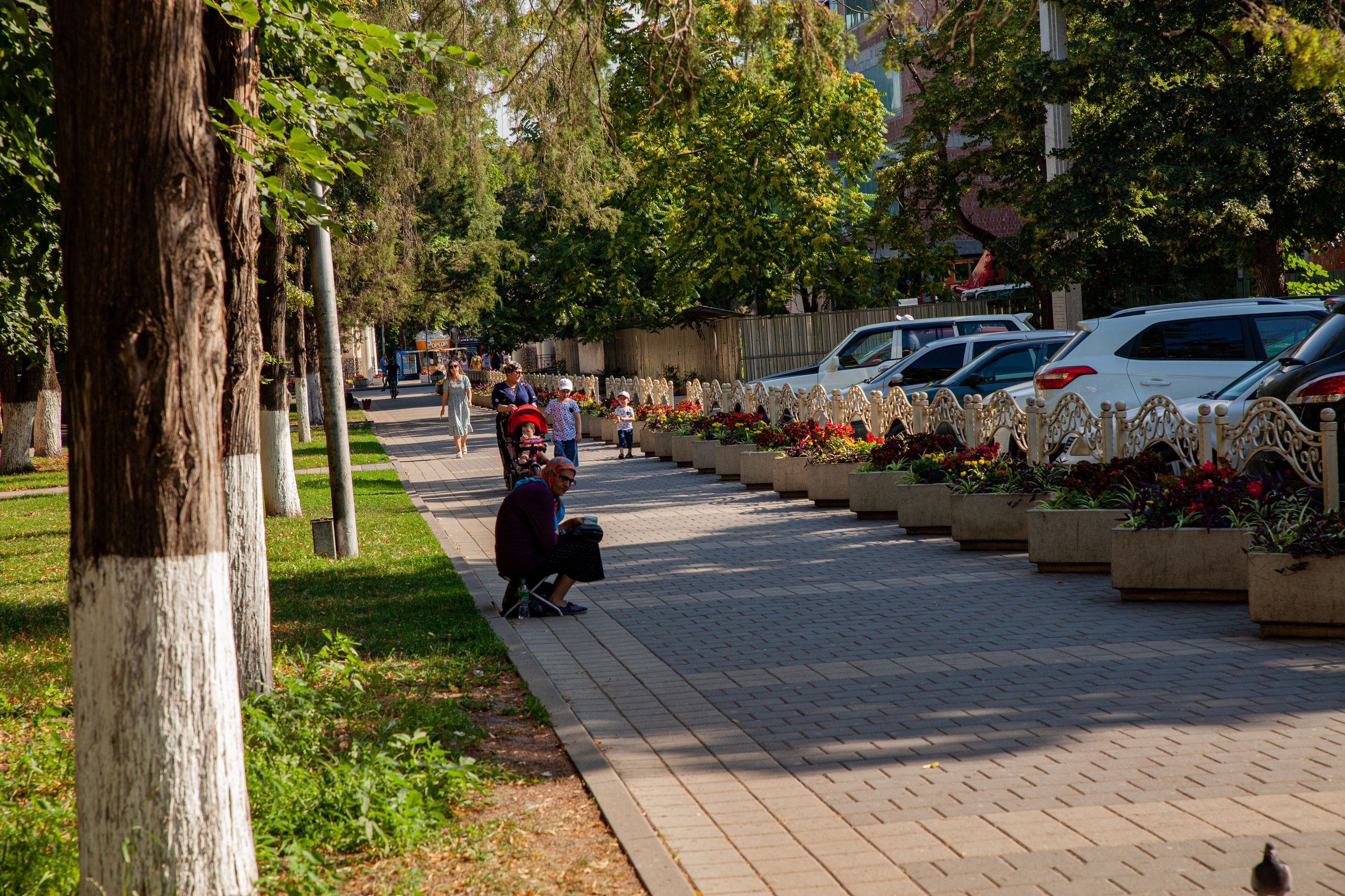 Мы в своём городе. Медиапродюсер, фотограф в Минеральных Водах —Виктор Холодов