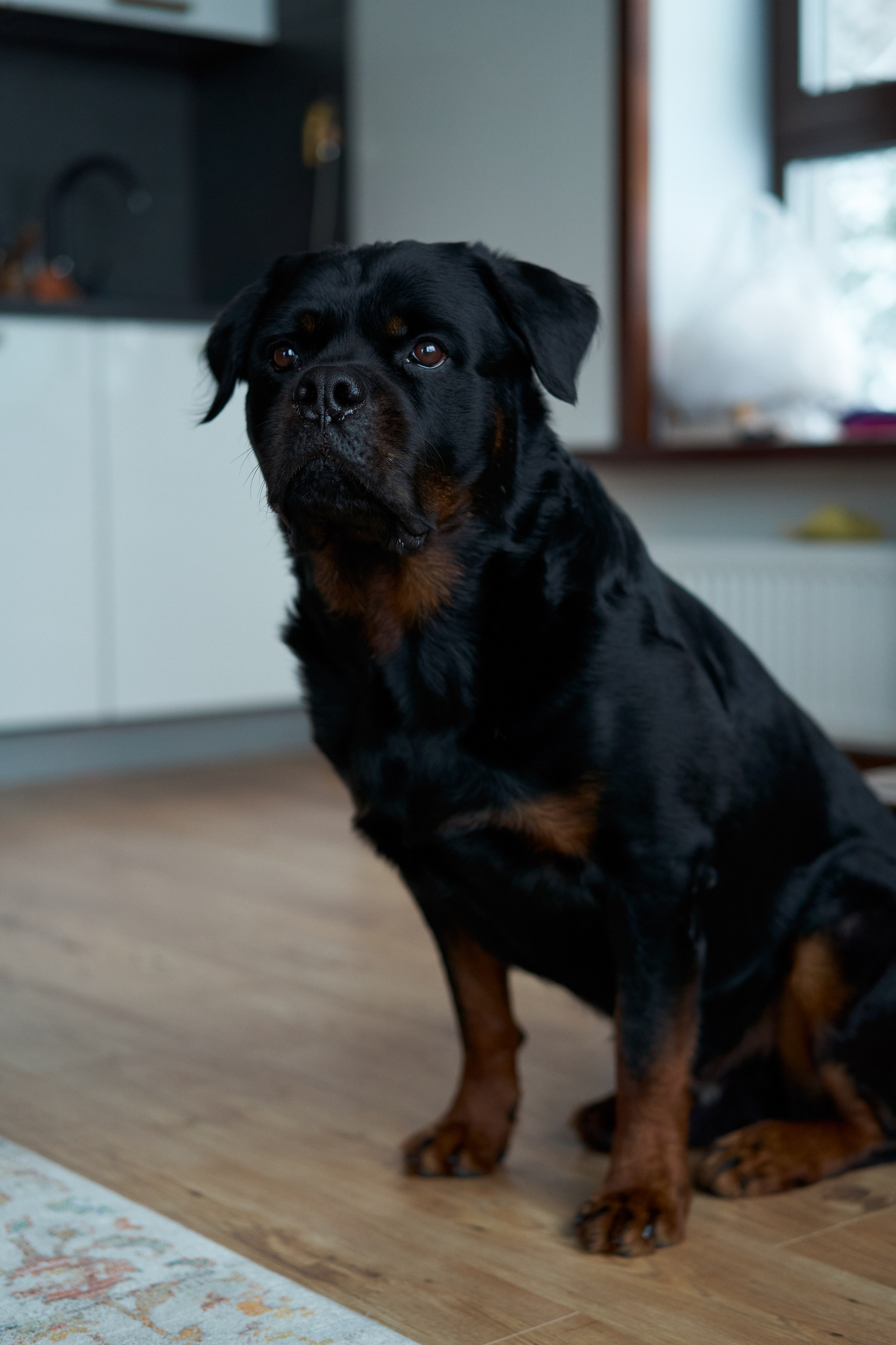 Дизайнер интерьера. Портретный фотограф в Санкт-Петербурге Анна Тукаева