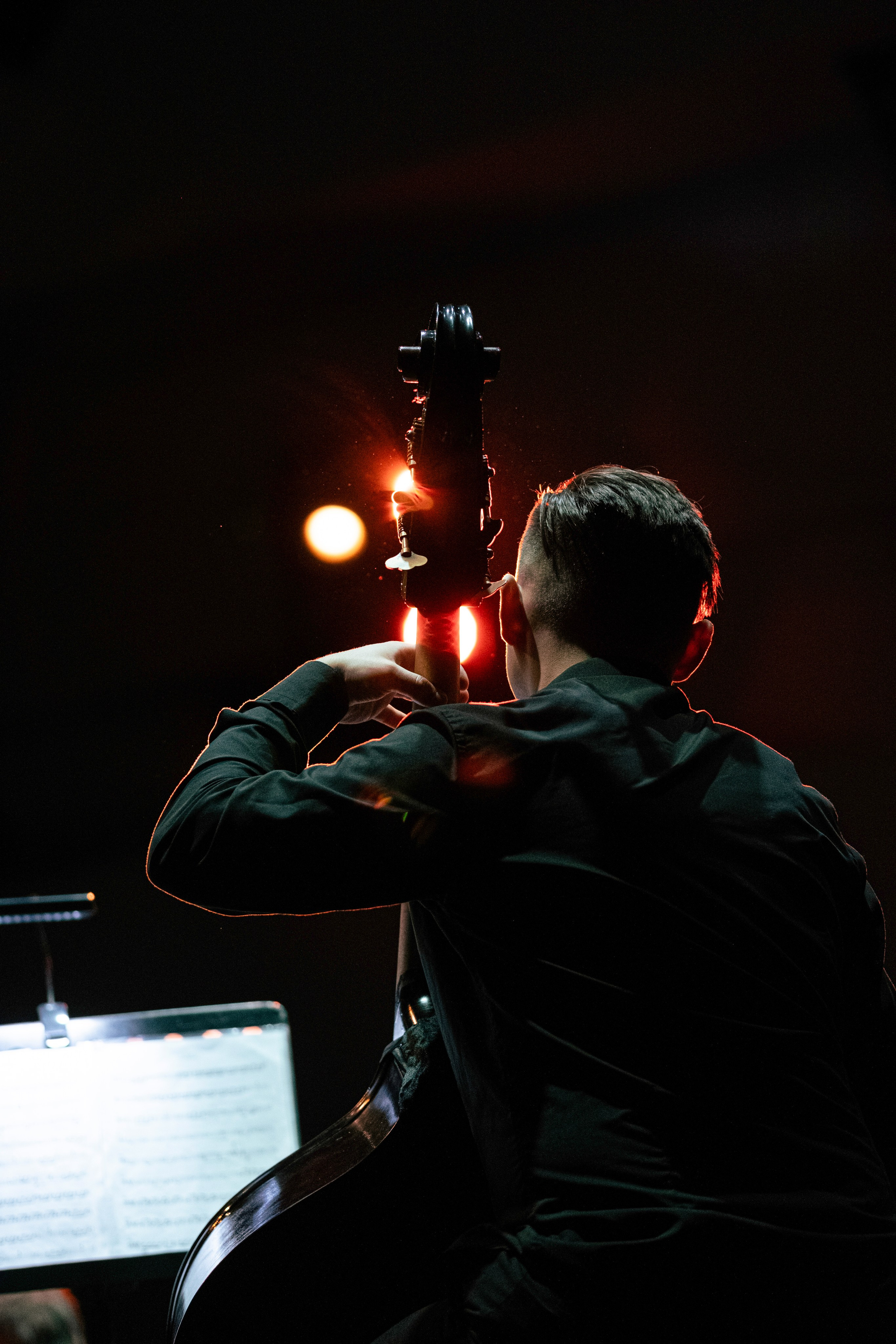 Metalliada (симфонический оркестр). Концертный фотограф в Москве Алексей Вовк