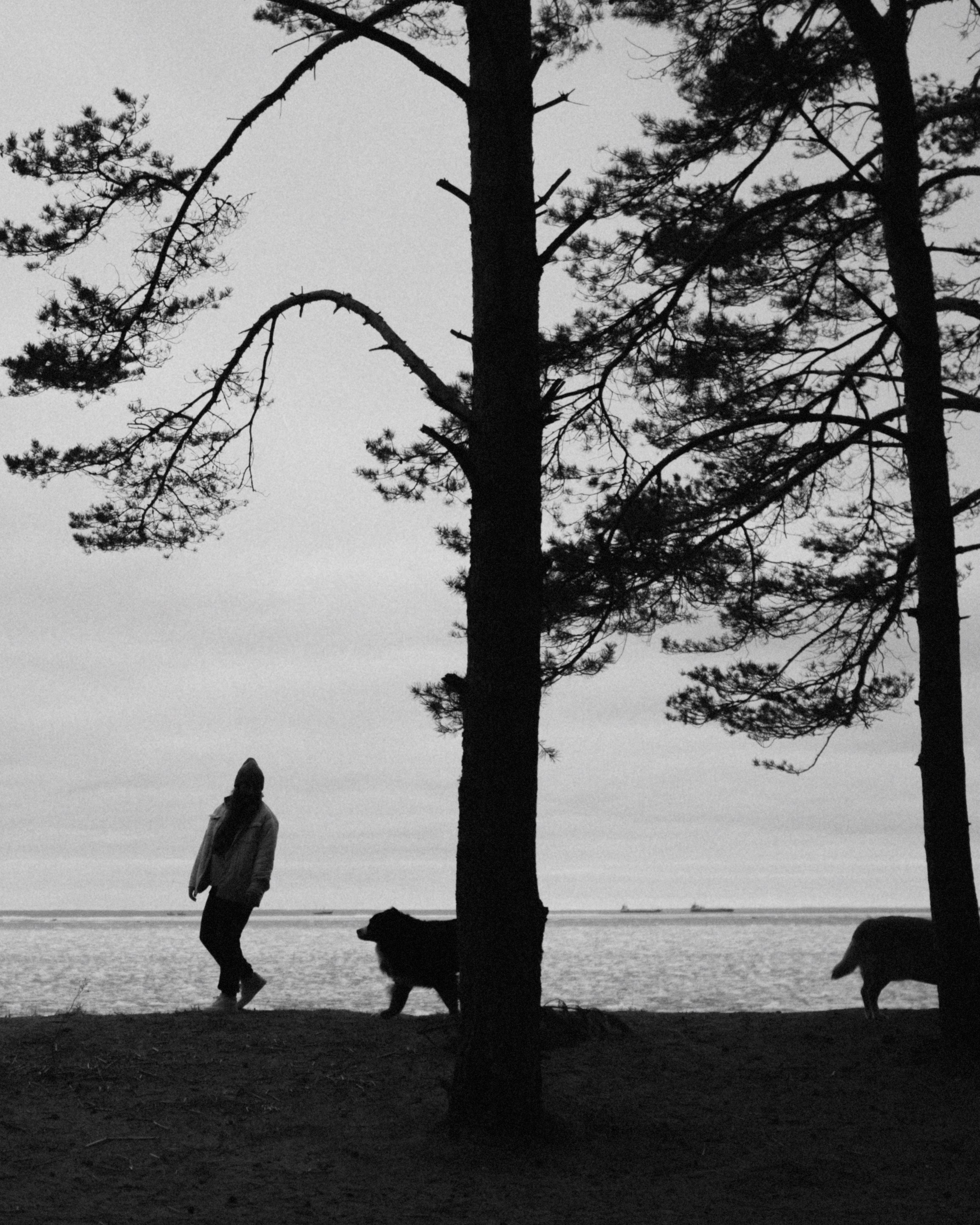 Прогулка: берн Пума, Фрэнк и Юля в Питере. Портфолио