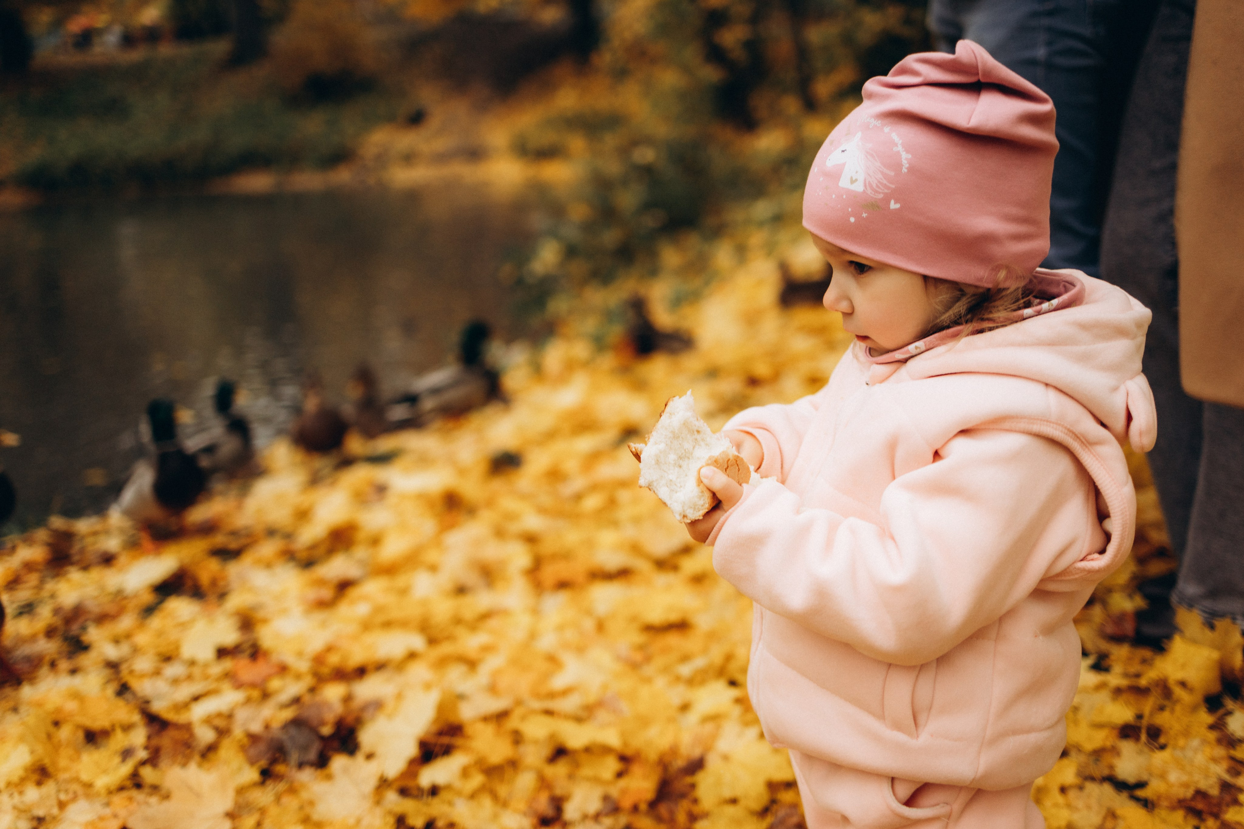 Осенняя семейная фотосъемка (11.10.2025 г.) г. Обнинск (Калужская обл.). Надежда Стар семейный и церковный фотограф в Жукове и Калужской области