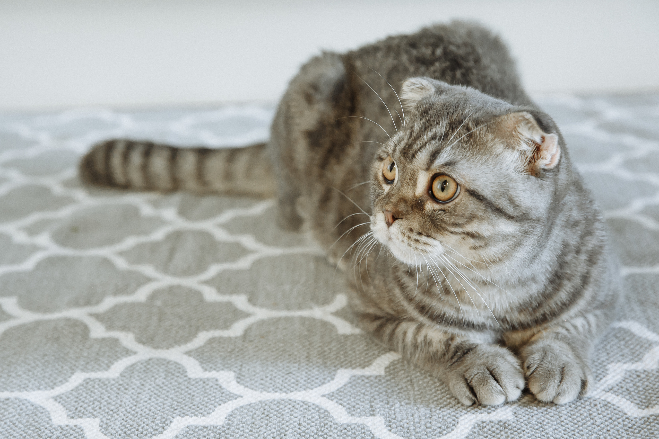 Свадебная фотосессия в Белая Усадьба Новосибирск. Фотограф Новосибирск Татьяна Богачек