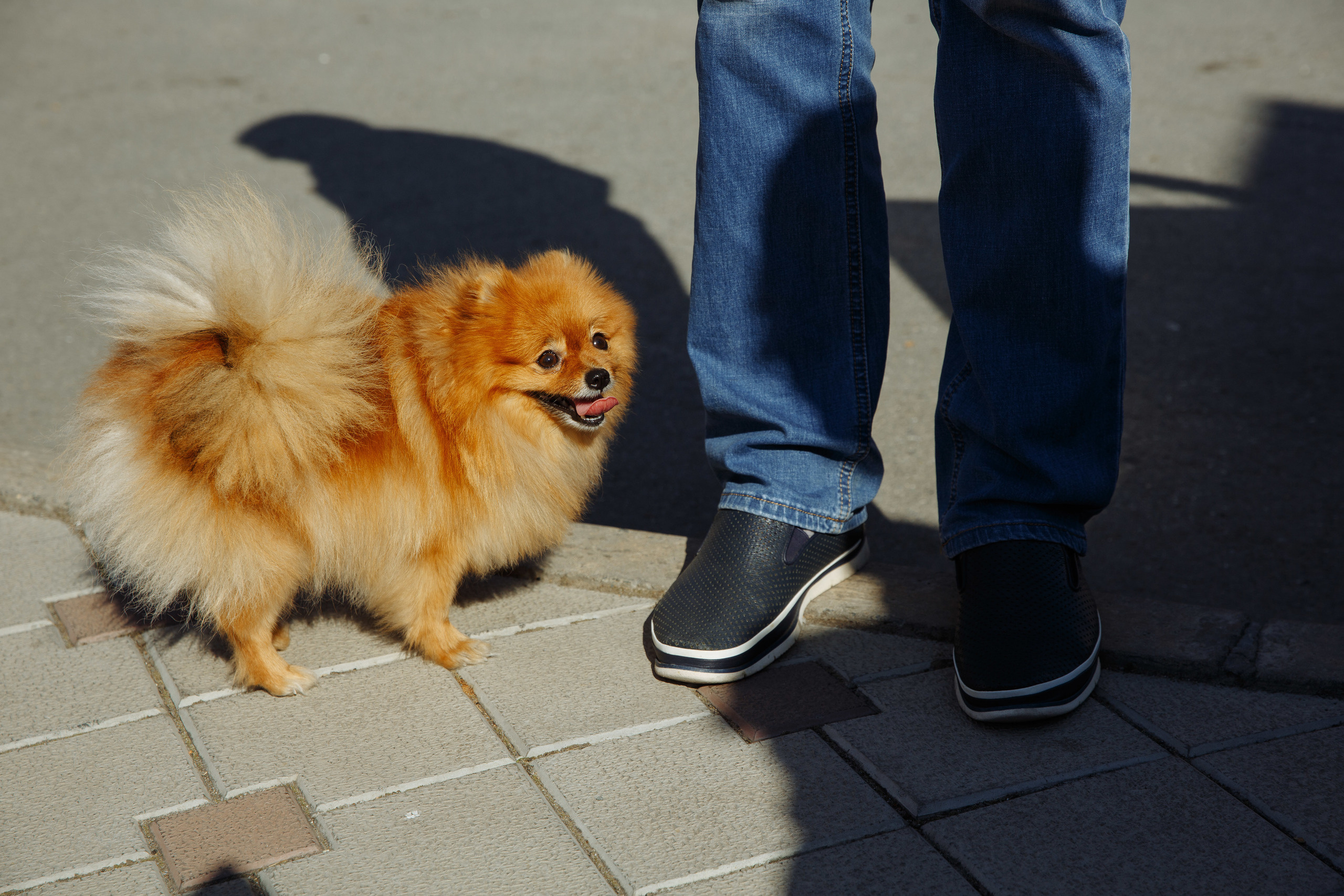 Сборы в Санаторий "Парус" Кудряшовский, банкетный зал Загородная резид. Фотограф Новосибирск Татьяна Богачек