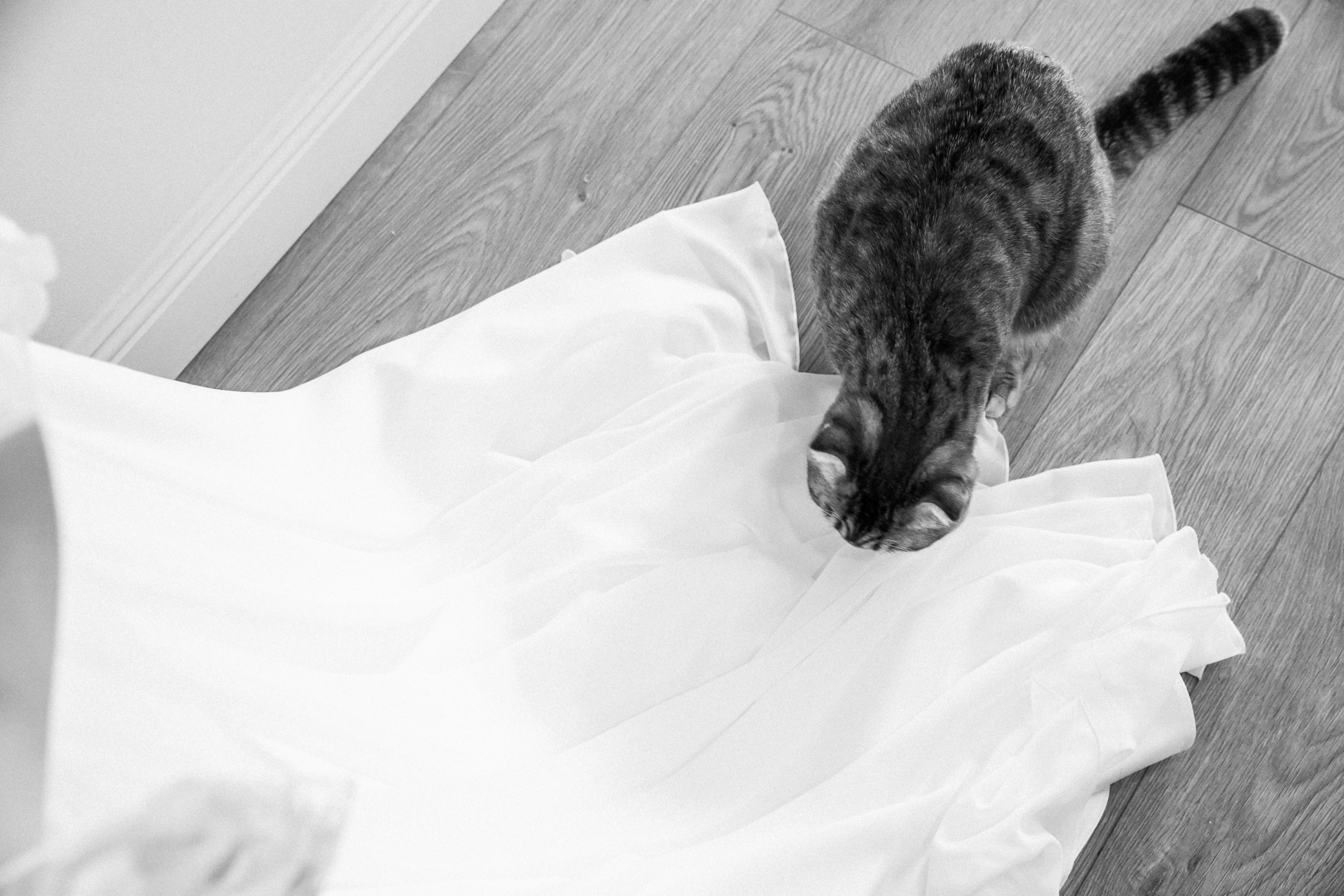 Свадебная фотосессия в Белая Усадьба Новосибирск. Фотограф Новосибирск Татьяна Богачек