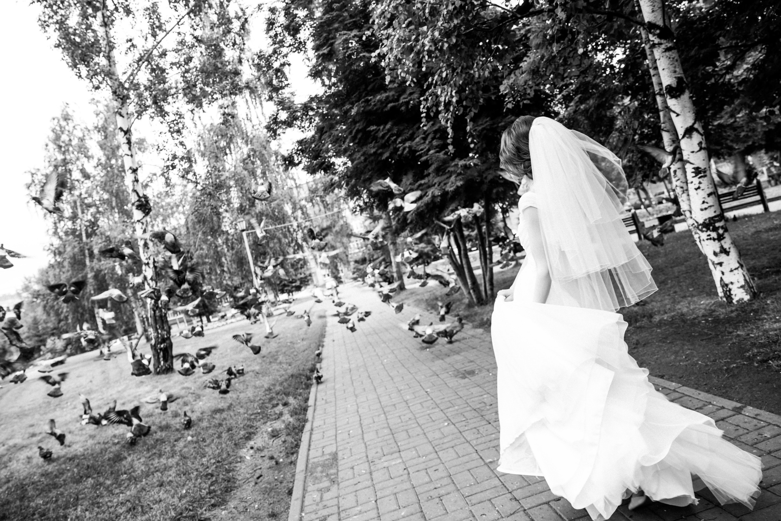 Свадебная фотосессия в Новосибирске. Фотограф Новосибирск Татьяна Богачек