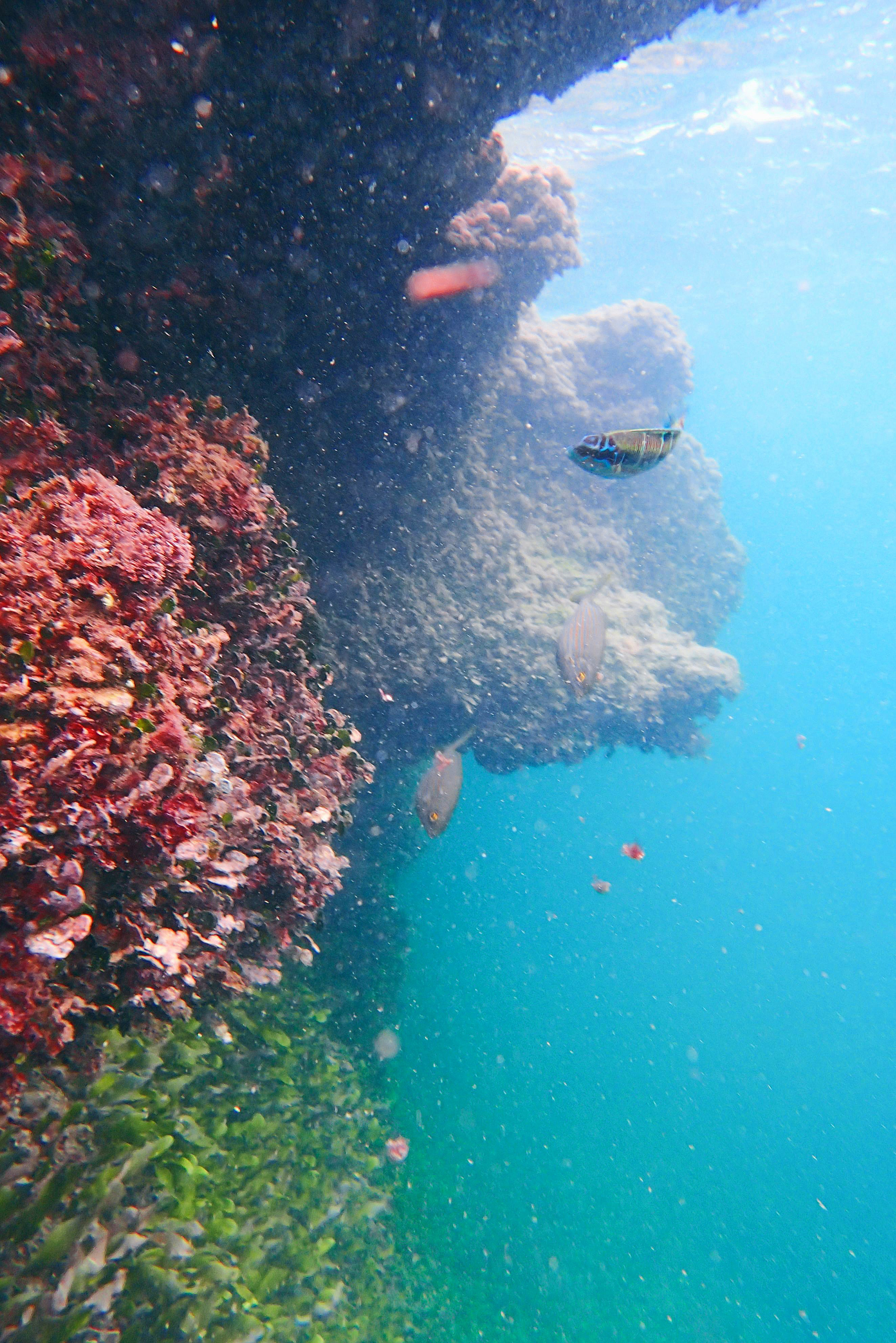 Испания. Свадебный фотограф Копков Геннадий