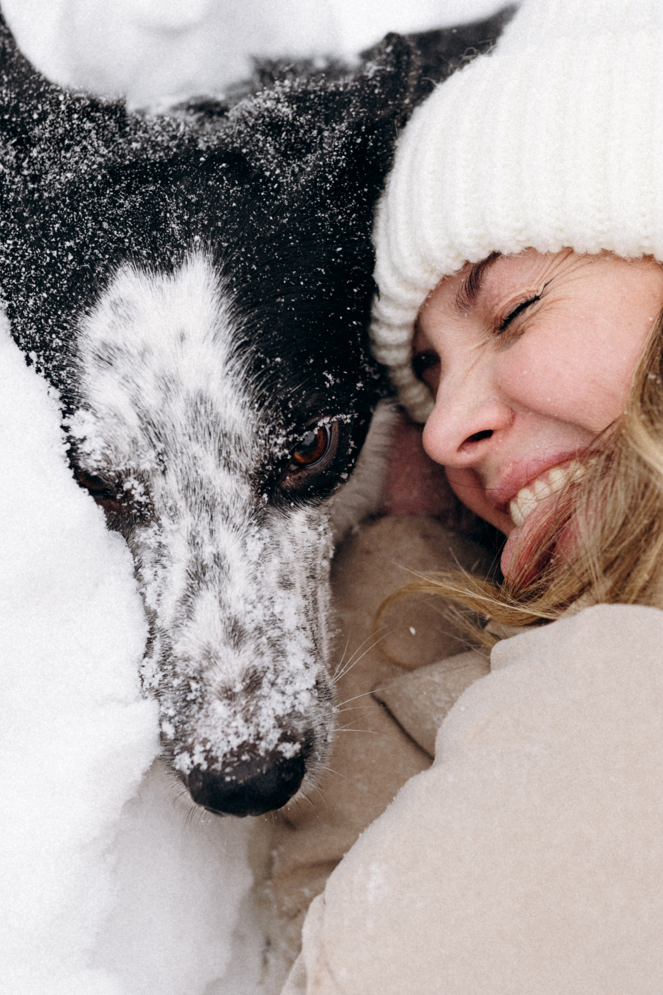 Аня и Милан. Фотограф анималист в Москве Ольга Агушева