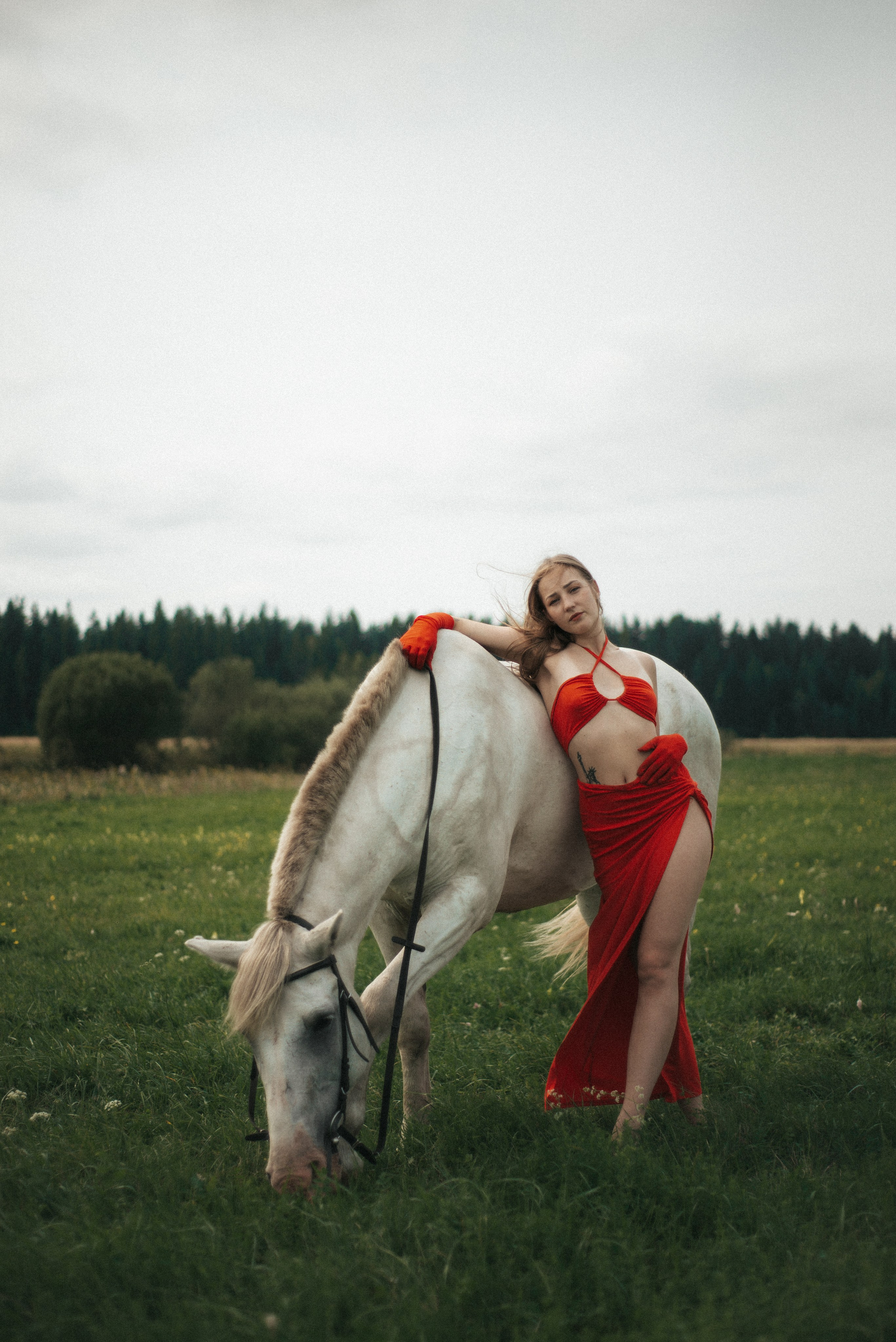 Horse. Фотограф