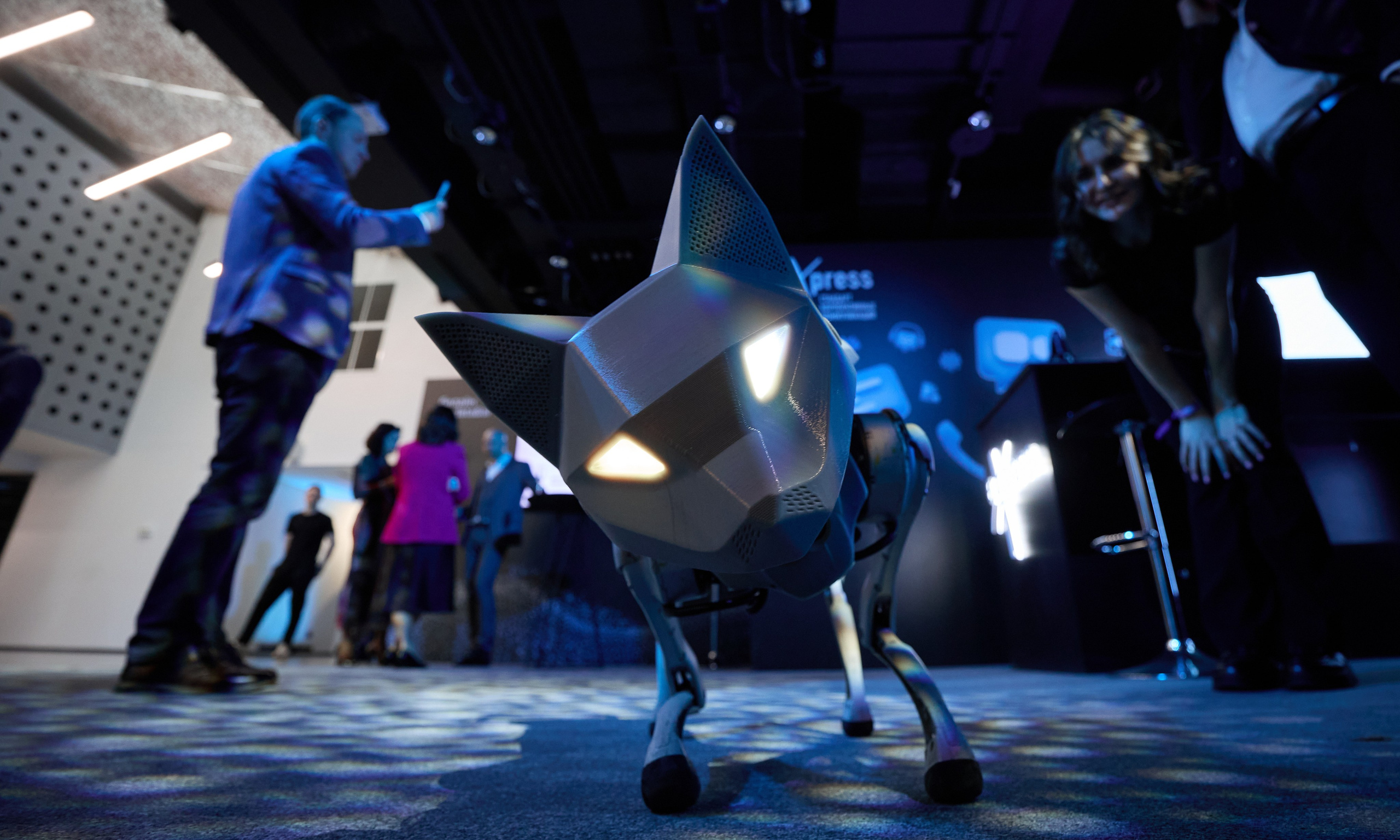 Бизнес. Егор Тутубалин