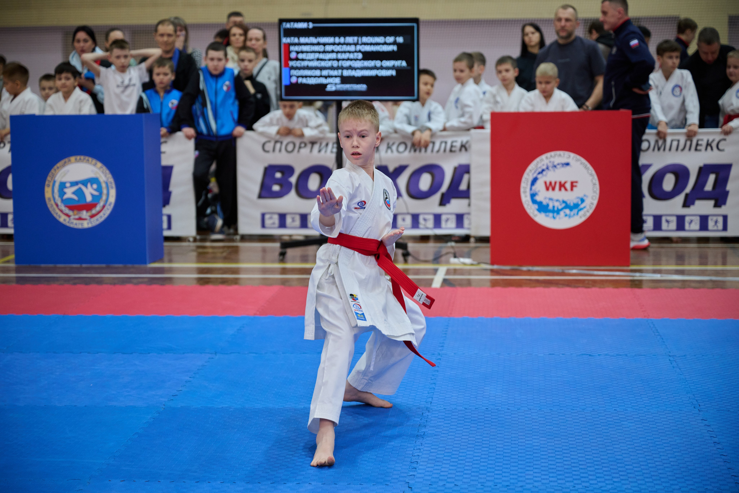 Чемпионат первенства Приморья по карате 28.03.26. Профессиональный репортажный фотограф Инесса Иминова