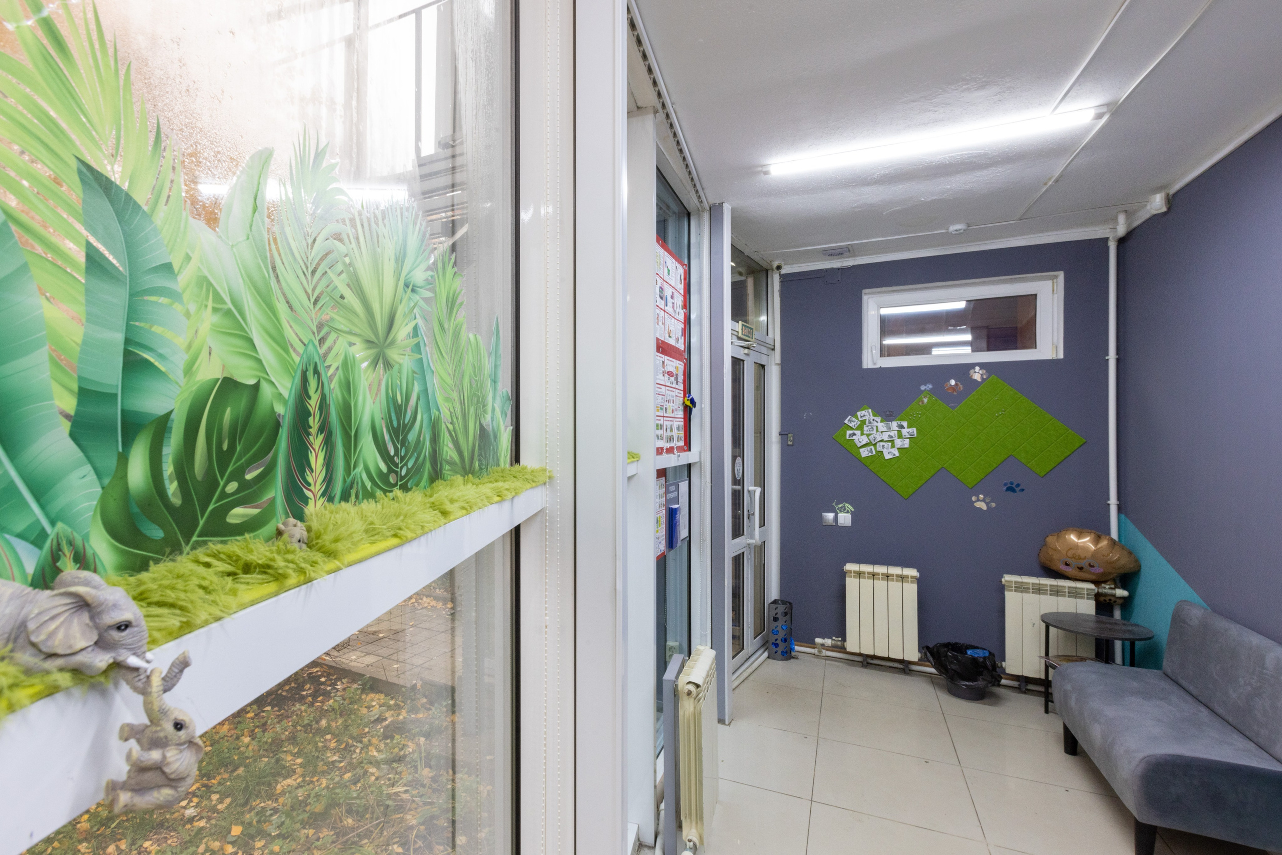 ВЕТ ТОЧКА. Фотограф в Туле Крупский АнДРей. Фотостудия «КАДР71» в Туле