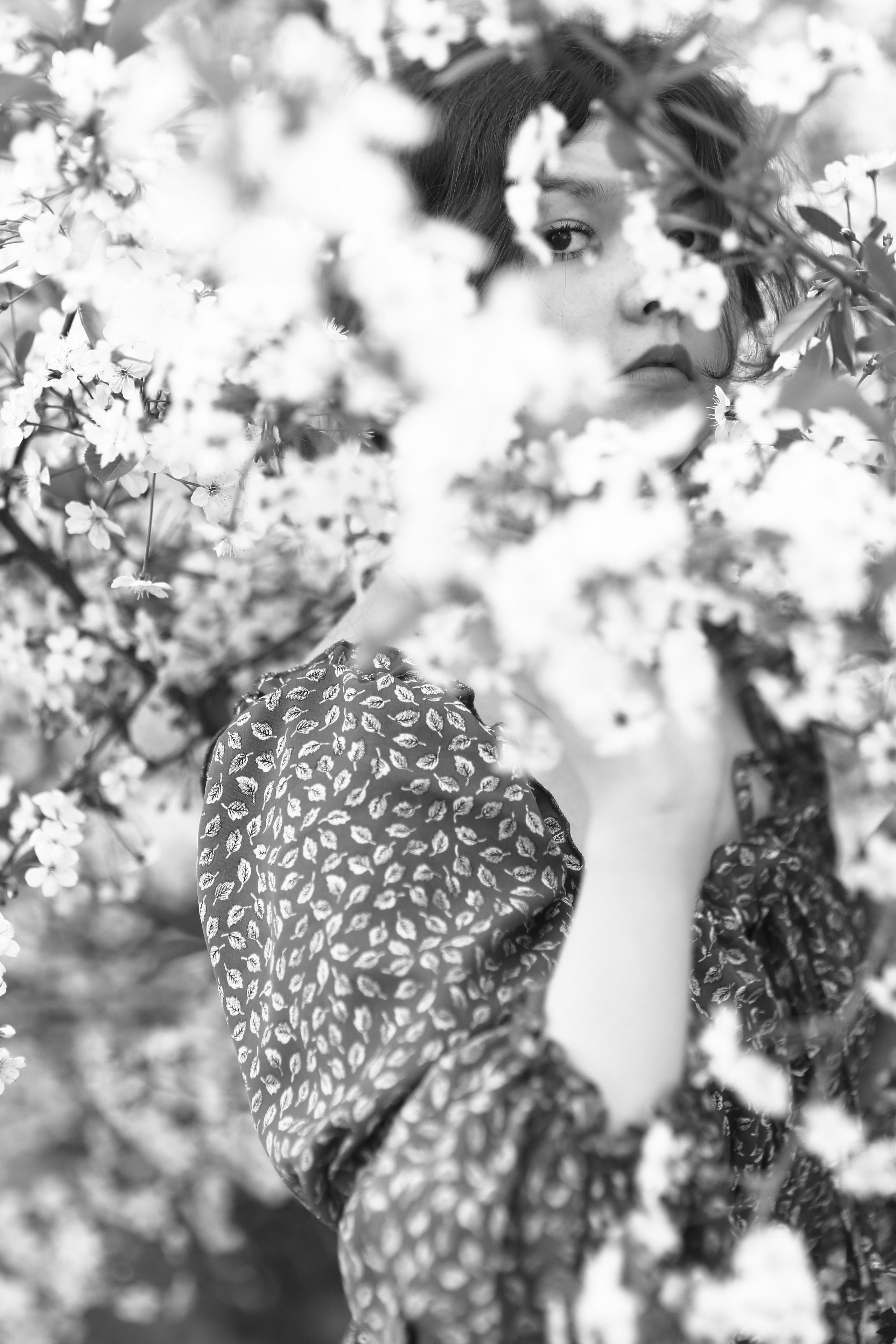 Девушка в вишневых цветах. Свадебный и репортажный фотограф в Ярославле и Санкт-Петербурге Роман Микрюков