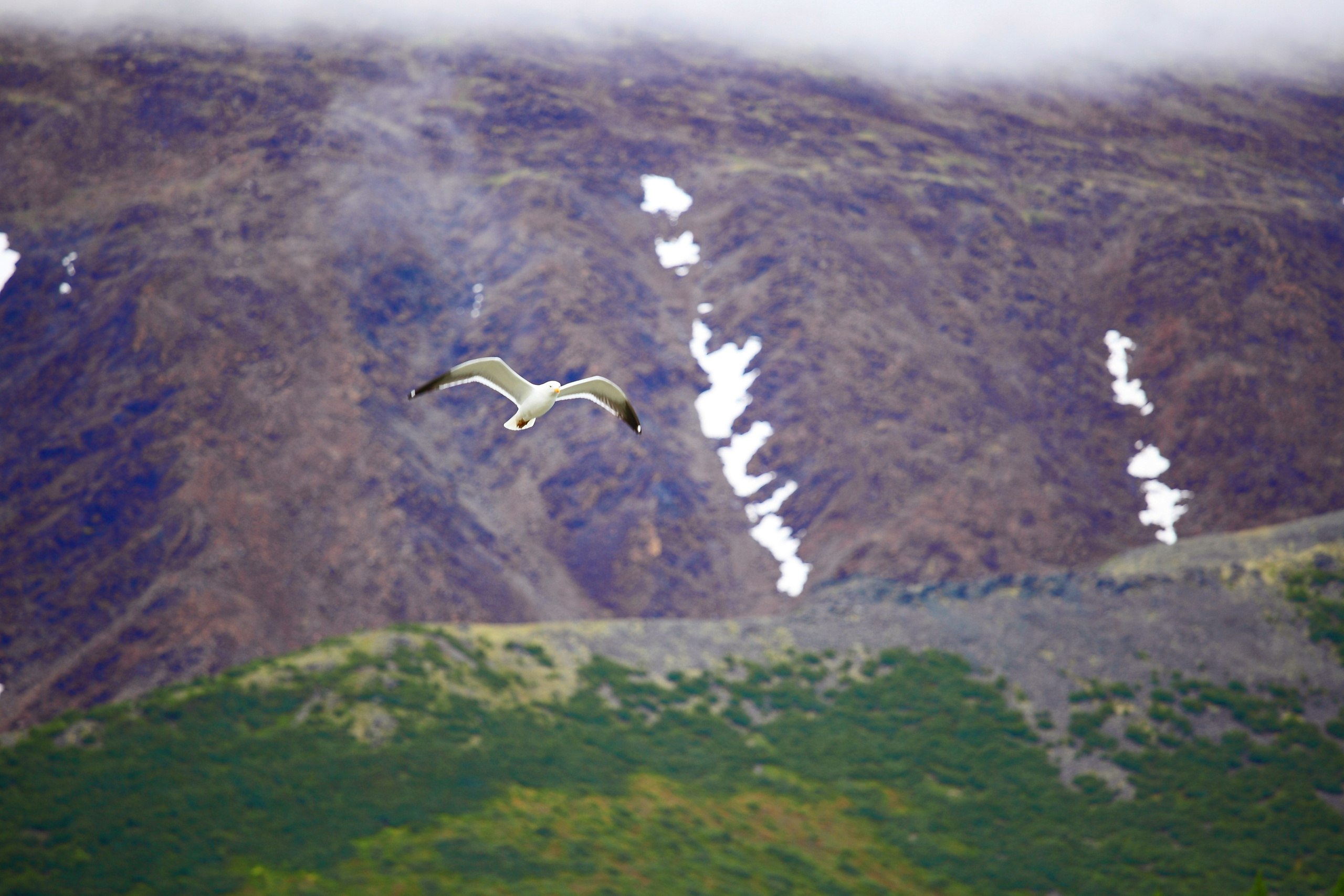 Полярный Урал. Свадебный и репортажный фотограф в Ярославле и Санкт-Петербурге Роман Микрюков