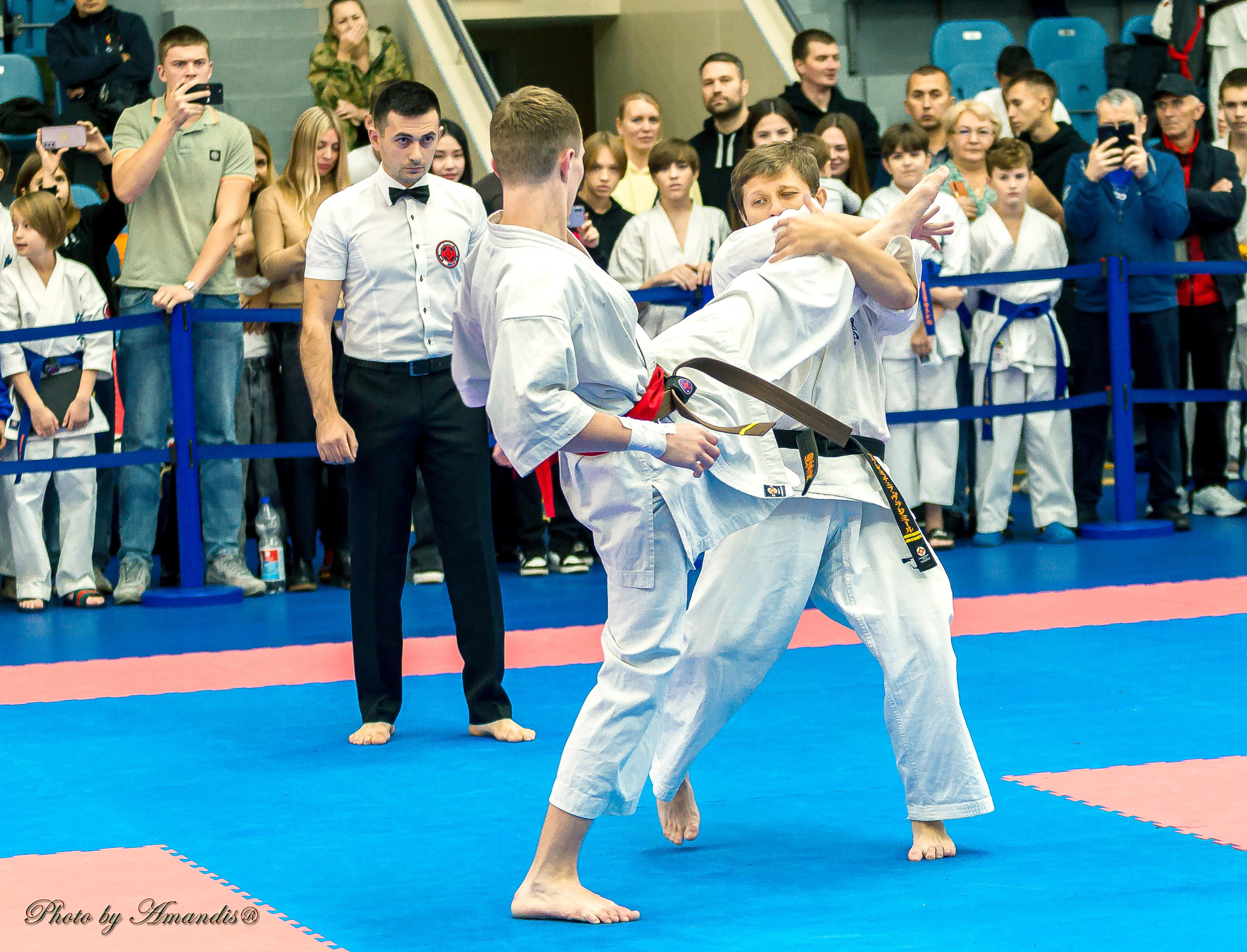 Чемпионат по Киокушинкай Центрального Федерального округа. Репортажная съемка в Москве и области. Анималистика