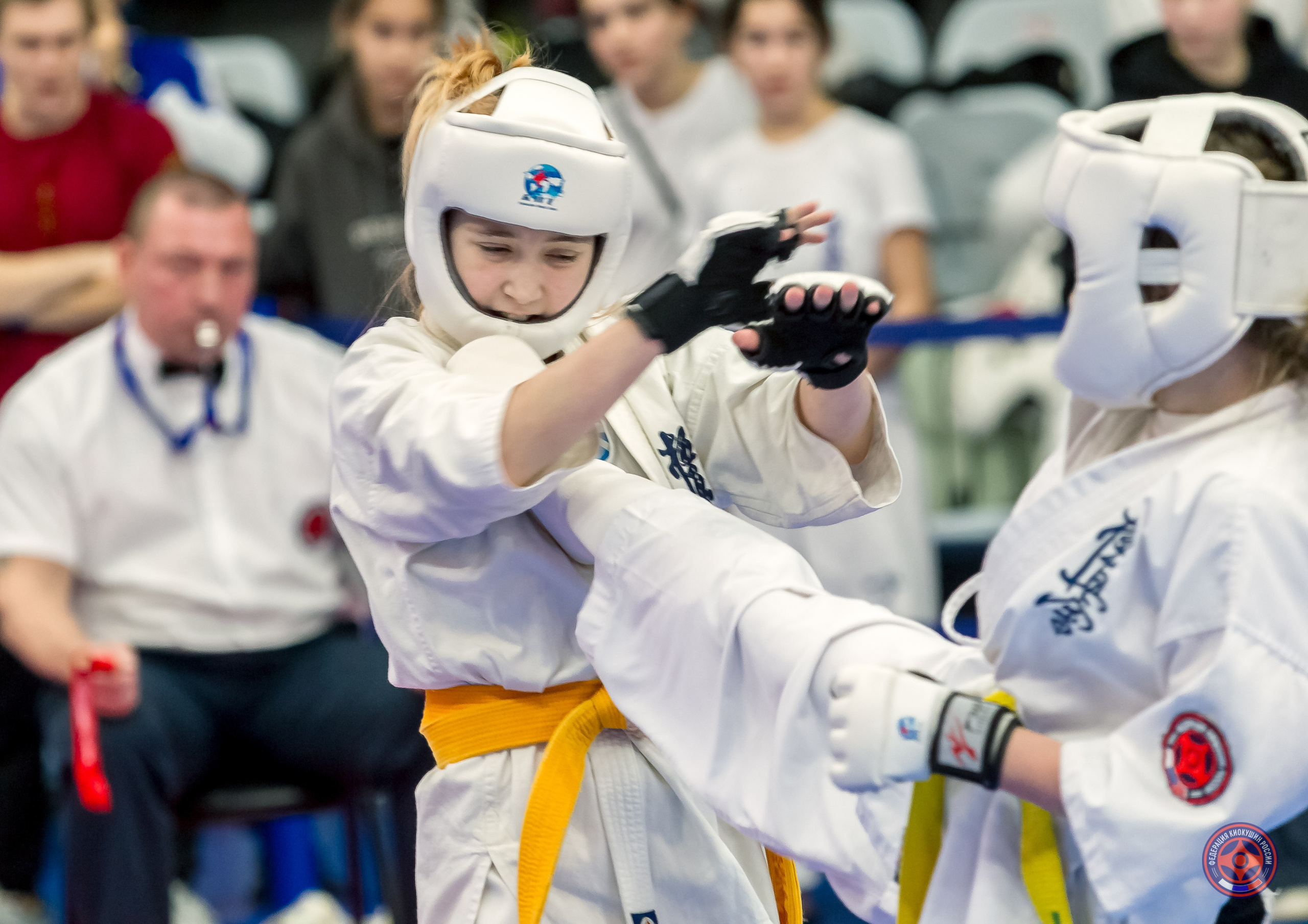 Соревнования по Киокушин памяти С. Увицкого. Репортажная съемка в Москве и области. Анималистика