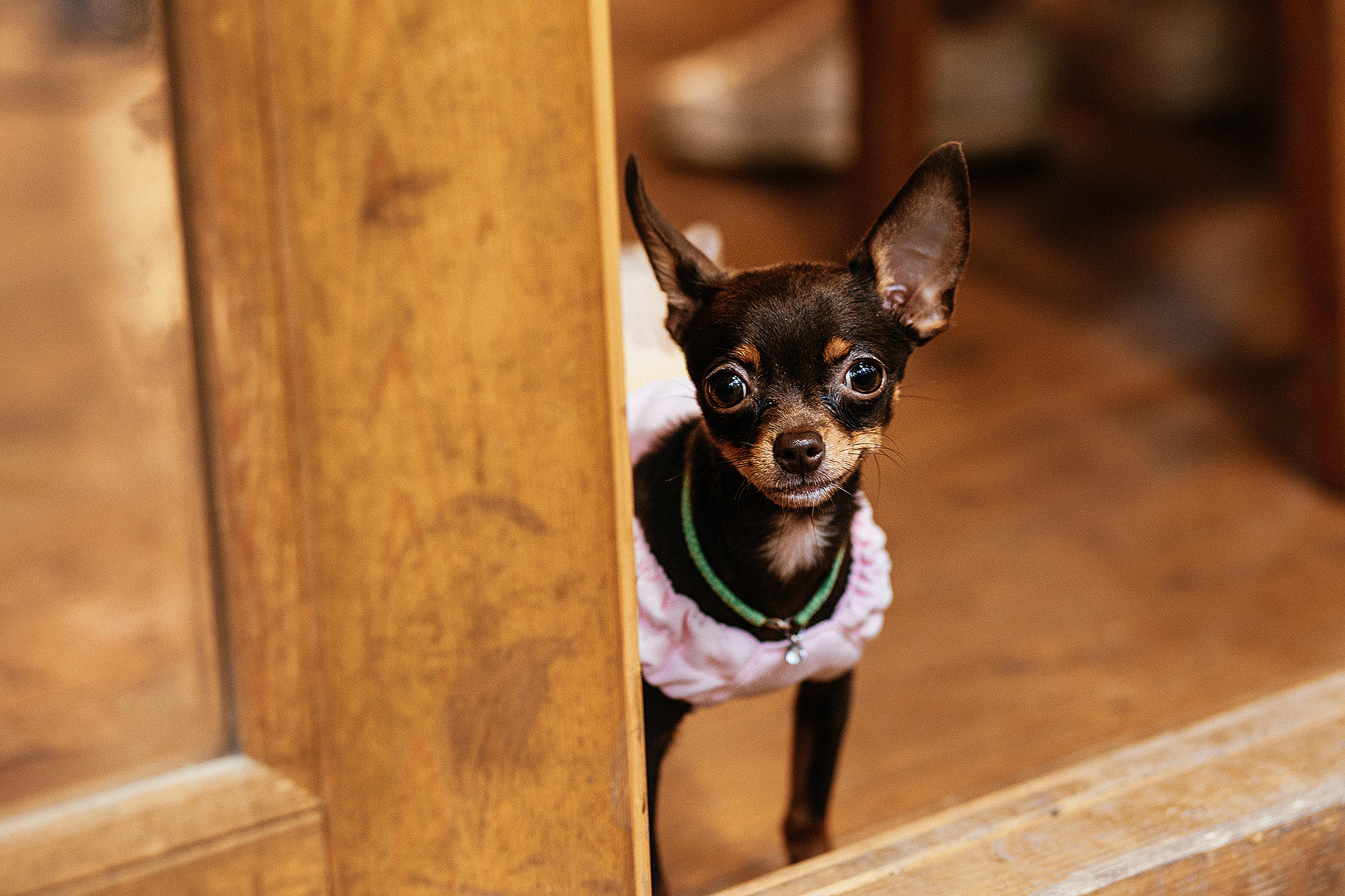 Настя и Данил 14.08.19. Свадебный фотограф Владивосток Алина Гевондова