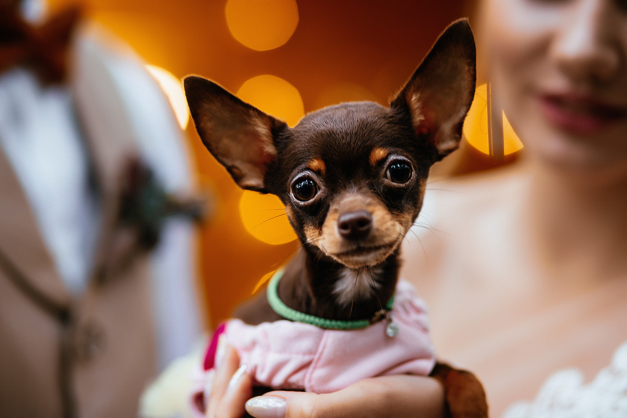Настя и Данил 14.08.19. Свадебный фотограф Владивосток Алина Гевондова