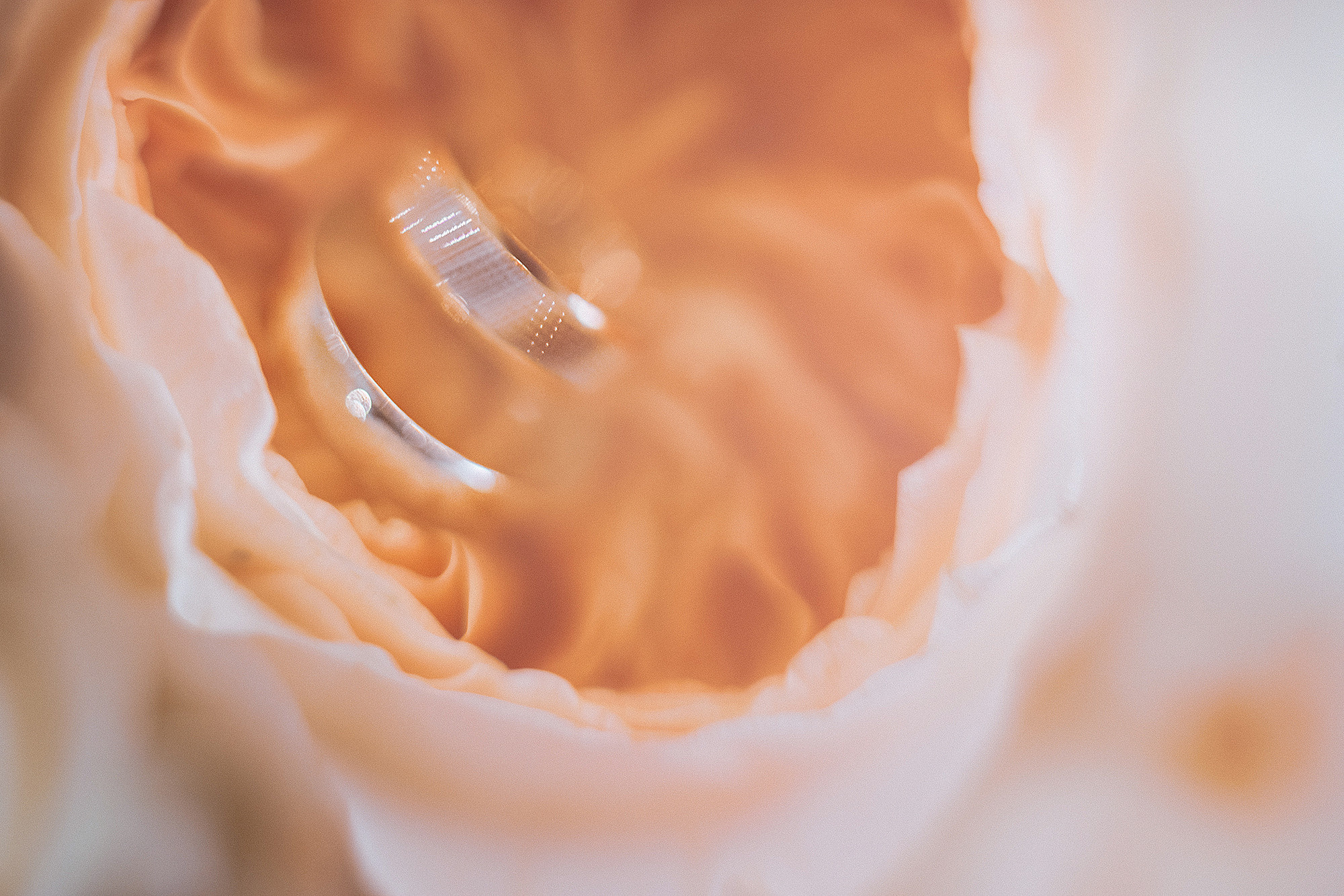 Маша и Андрей 6.07.19. Свадебный фотограф Владивосток Алина Гевондова