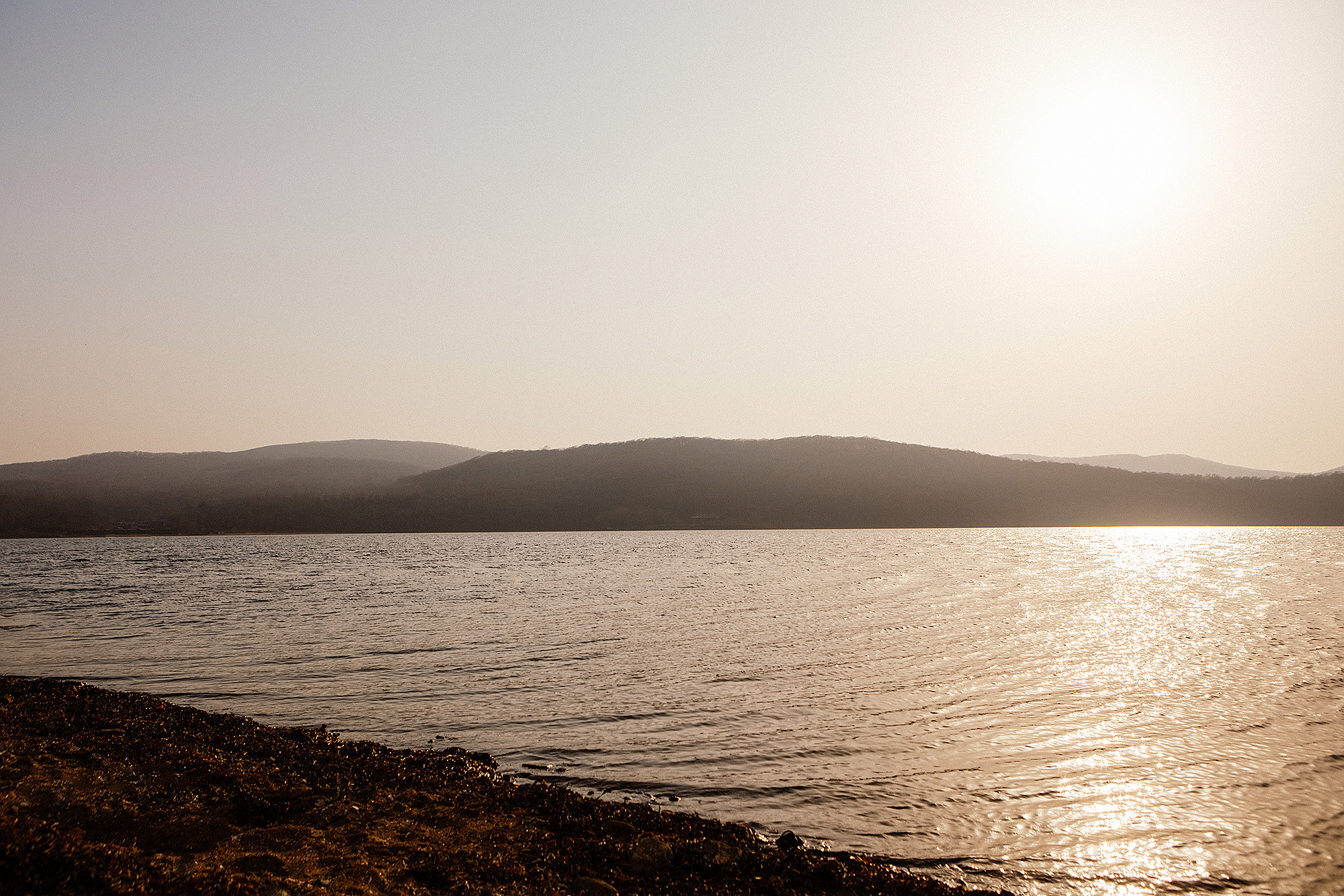Дима и Аня. Свадебный фотограф Владивосток Алина Гевондова