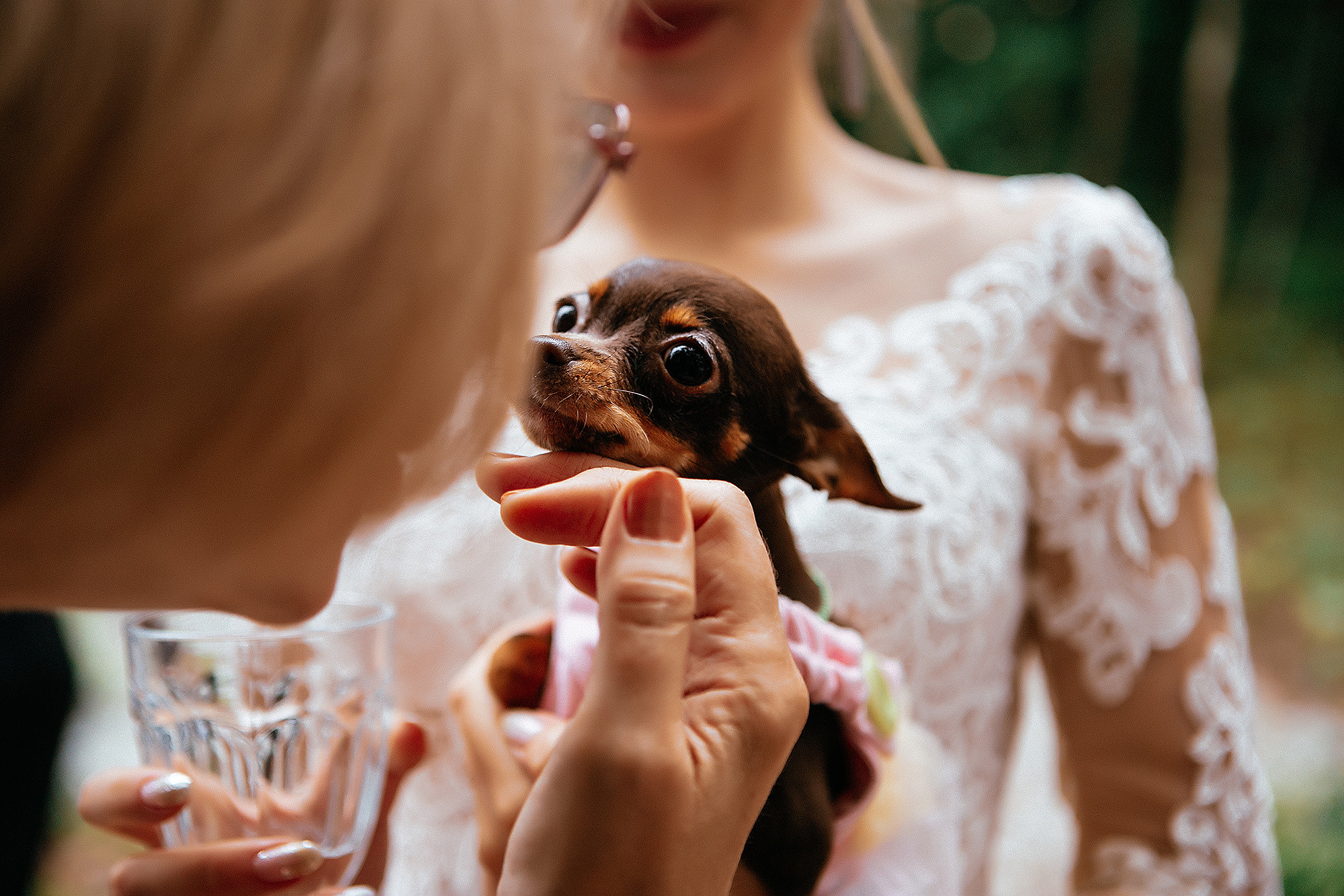 Настя и Данил 14.08.19. Свадебный фотограф Владивосток Алина Гевондова