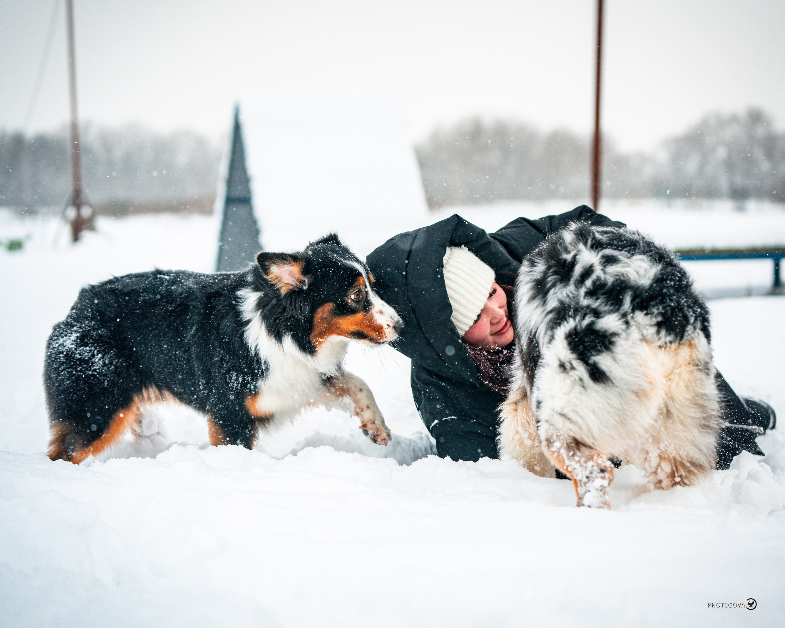 ФОТОПАМЯТЬ ВАШИХ ЭМОЦИЙ. Фотограф-анималист, семейный фотограф в Москве и Подмосковье. Фотосъёмка кинологических дисциплин