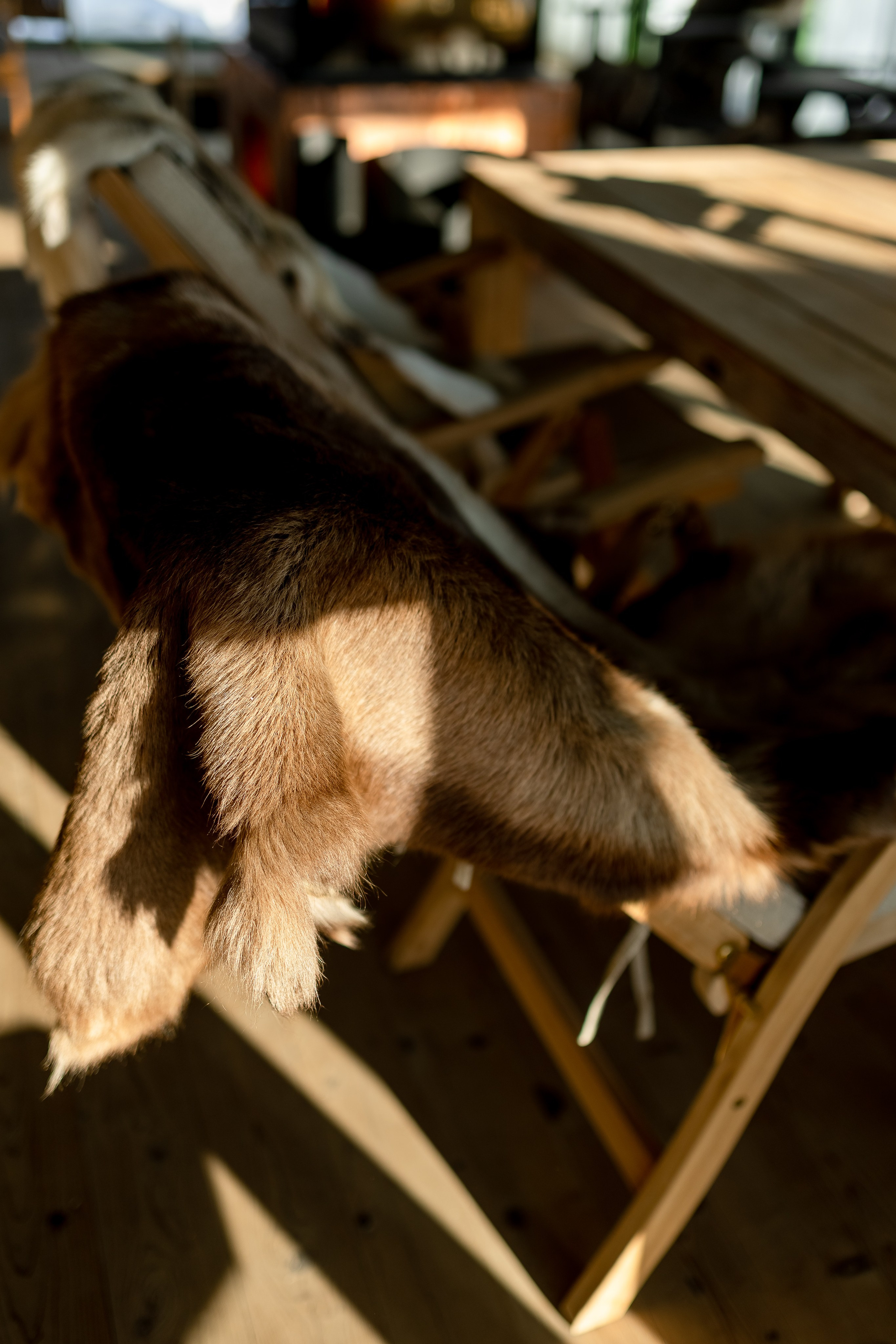 Баня. Главная