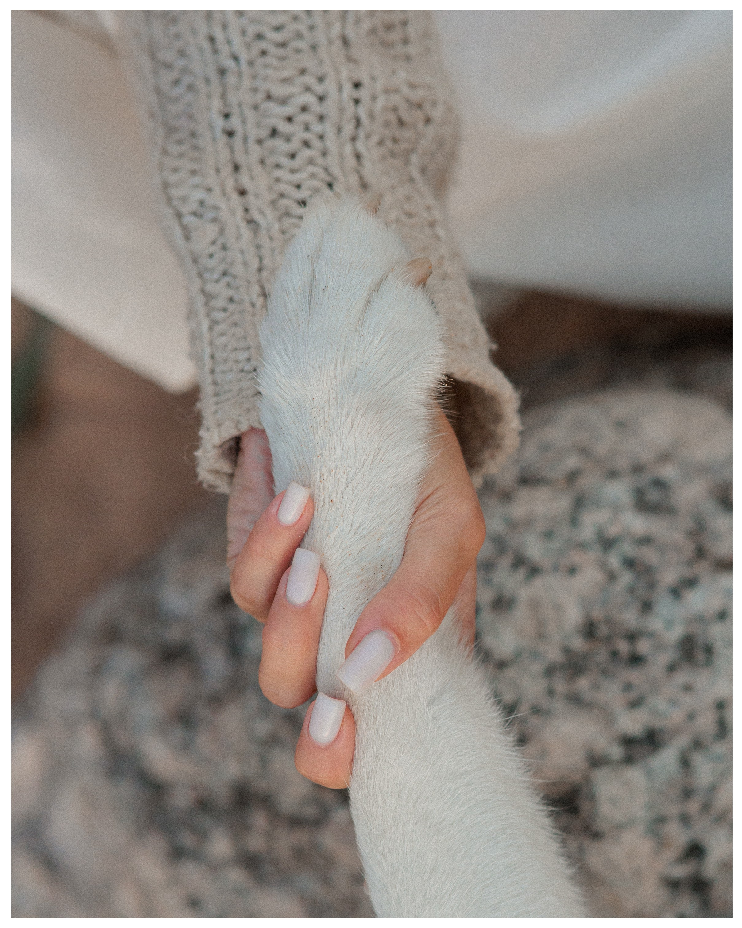 Елена и Эмми. Фотограф в Санкт-Петербурге Алёна Губинская