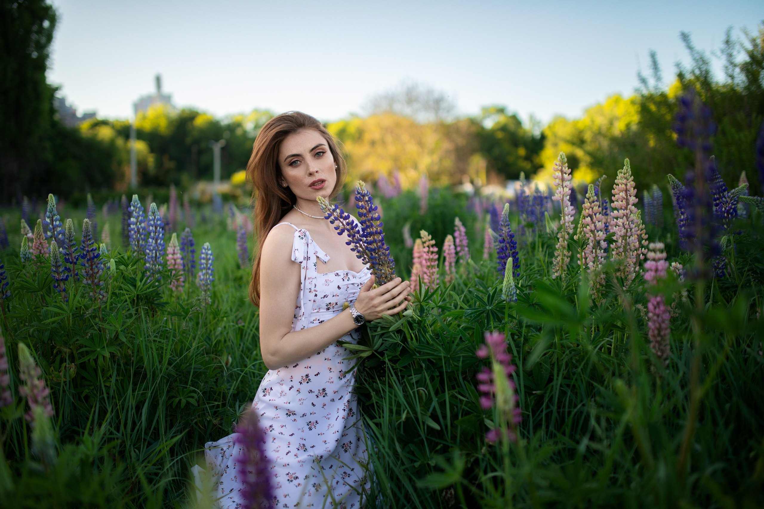 Фотосессия с Надеждой с люпинами в формате «для себя». Дмитрий Шульгин, портретный фотограф в Воронеже