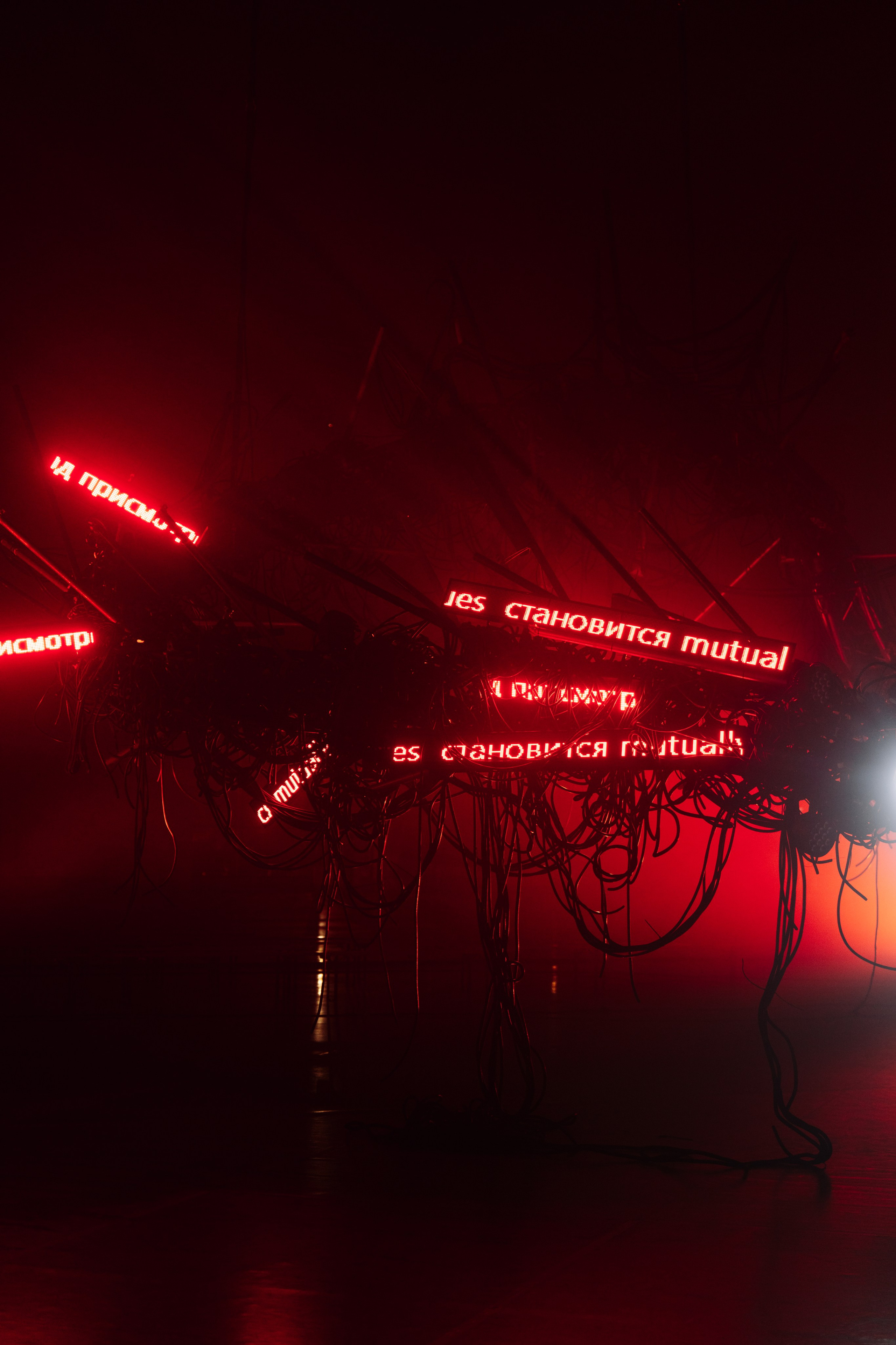 PANTERRA, CHRONOMORPH 001. @tomrus: Рустам Шагиморданов — фотограф