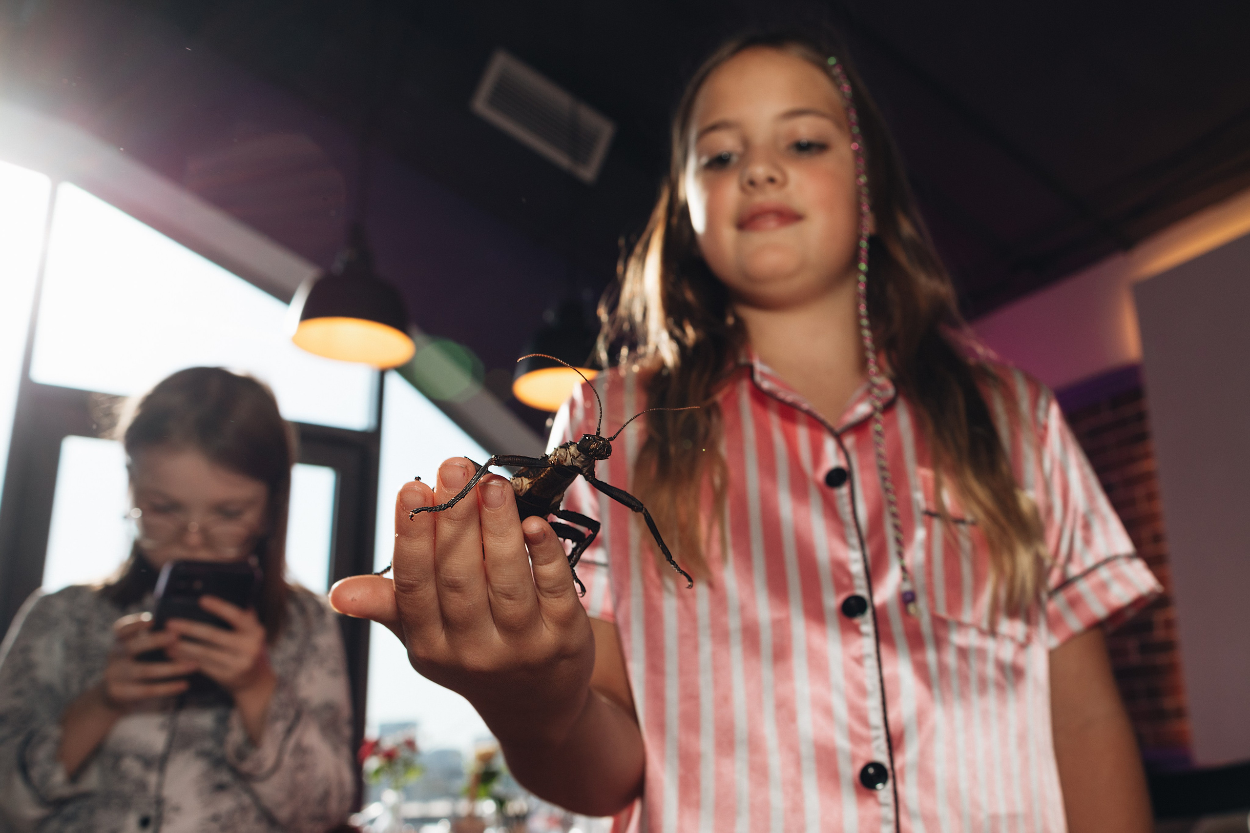 София, с днём рождения!. Портретный фотограф в Москве и МО Зимина Татьяна