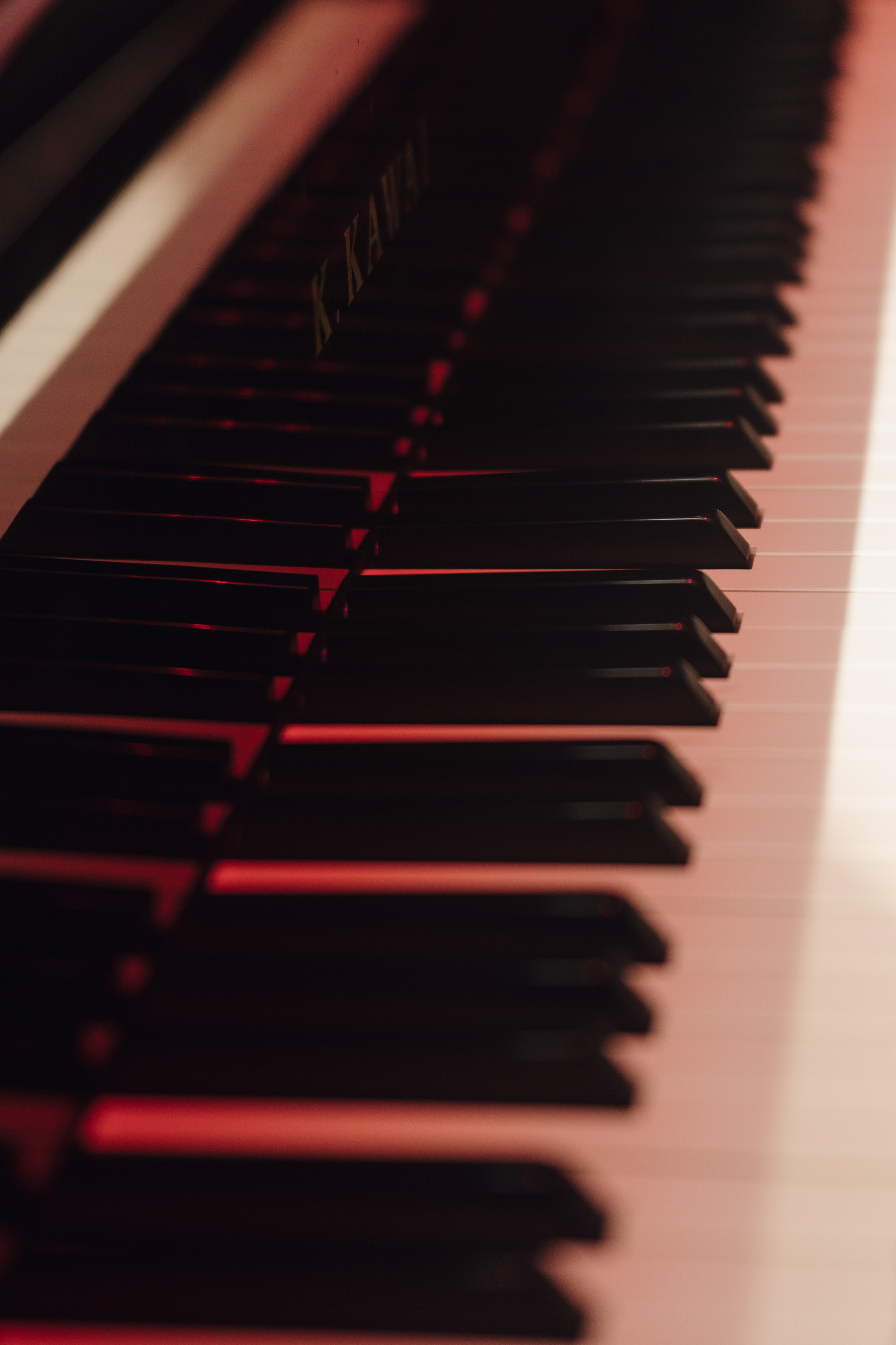 Rock Evolution 03.04.24. Свадебный фотограф в Краснодаре и Сочи Винидиктова Екатерина