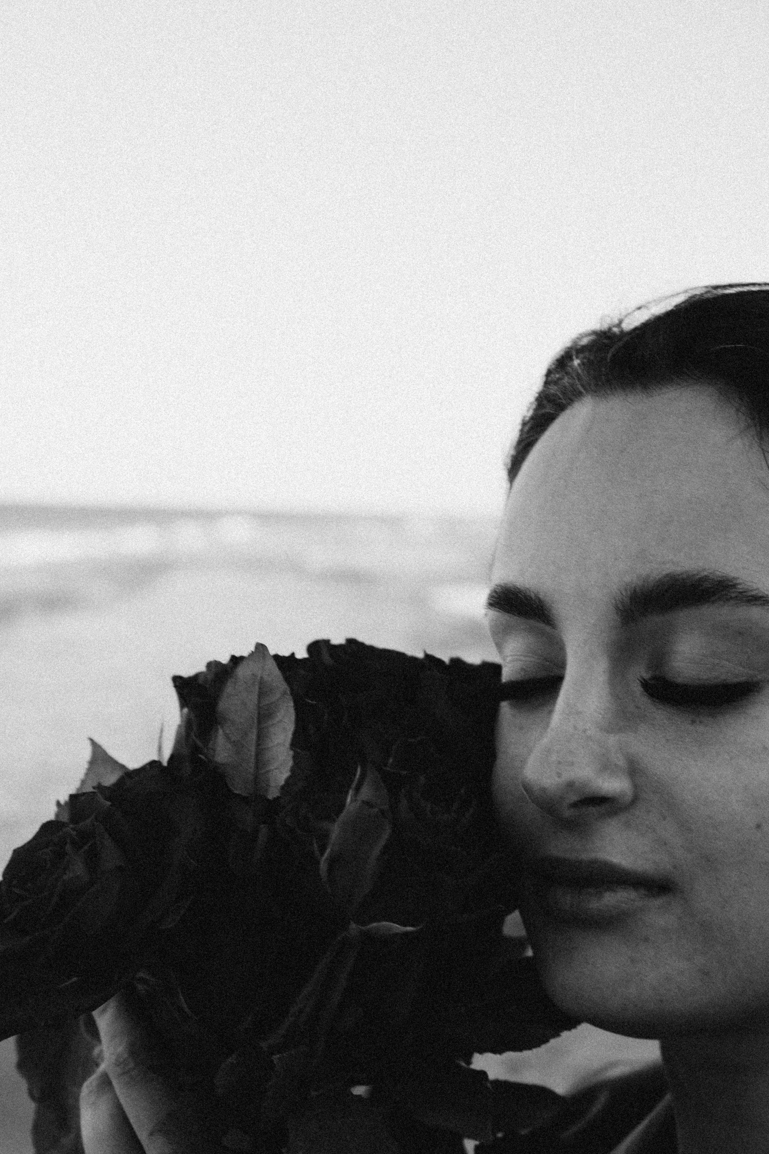 Розы. Профессиональный фотограф, Санкт-Петербург — Виктория Богомолова