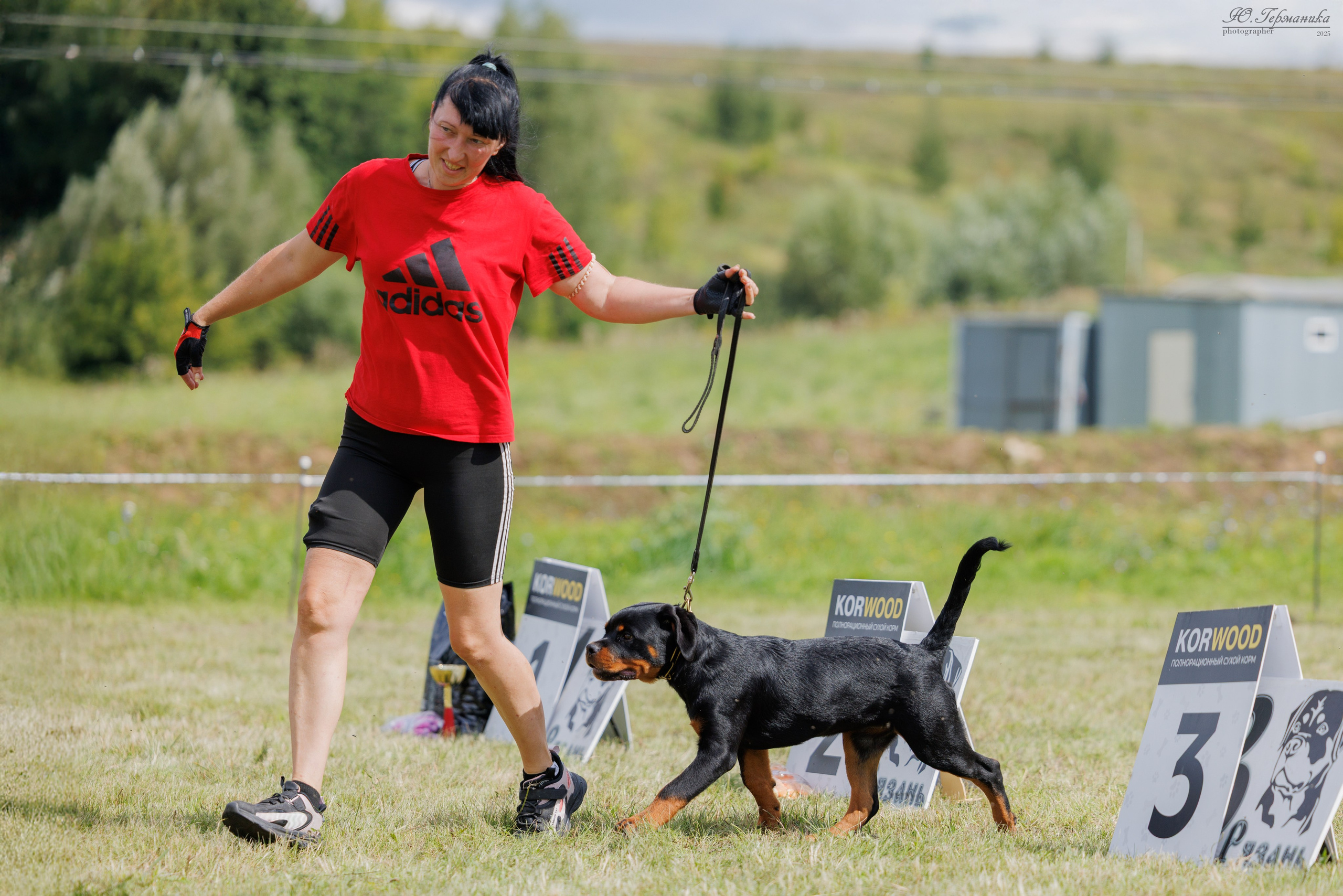 Рязань 2хмоно ротвейлеры 16-17.08.2025. Фотограф-анималист Юлия Германика