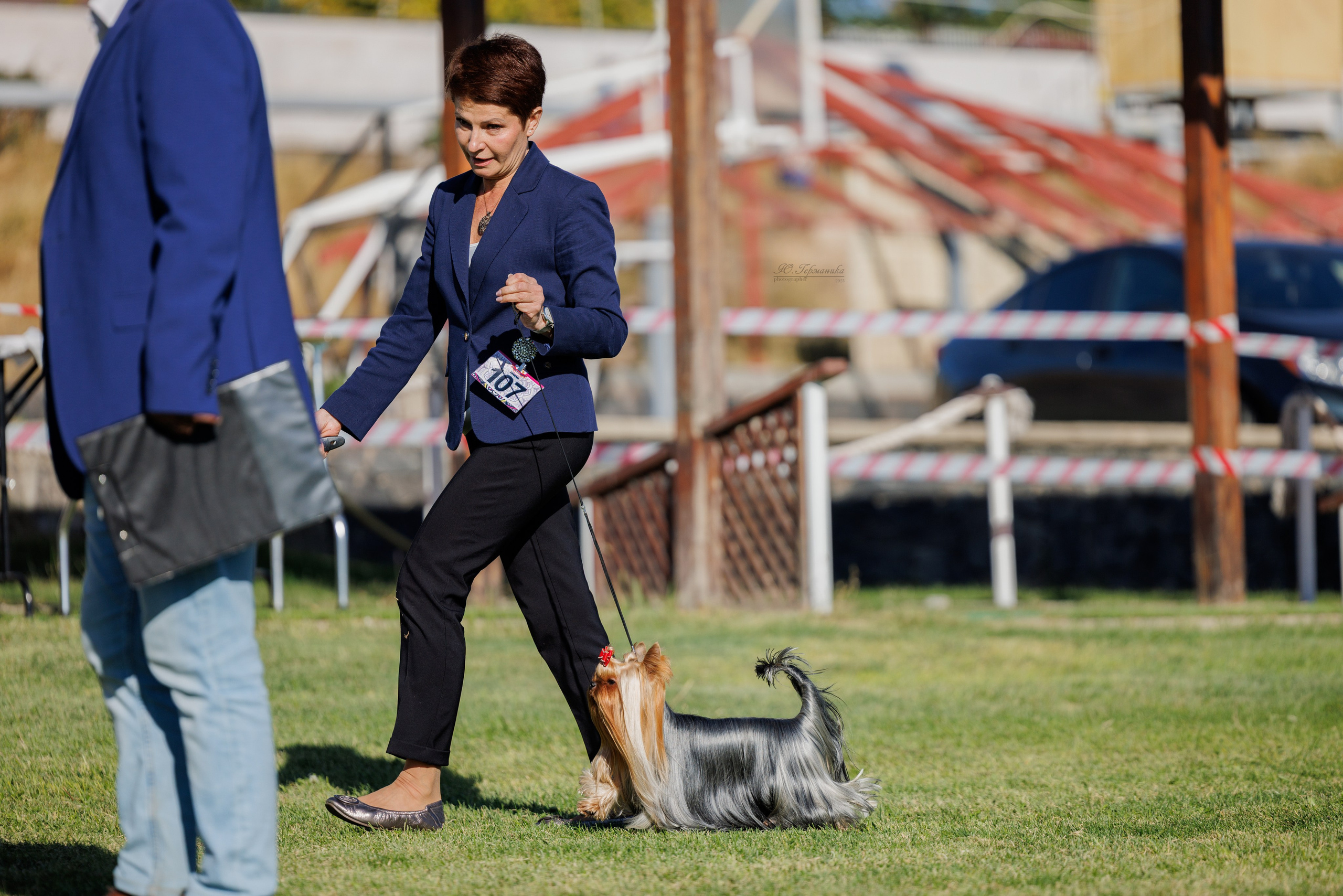 Ереван 14-16.10.2025. Фотограф-анималист Юлия Германика