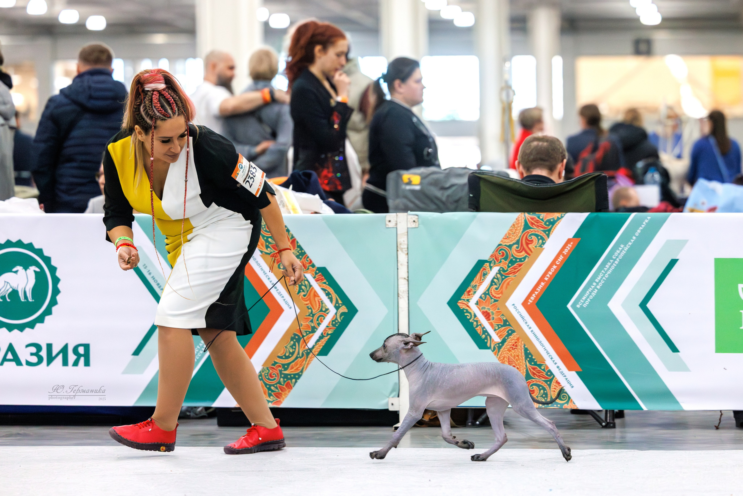 Евразия 15-16.11.2025. Фотограф-анималист Юлия Германика