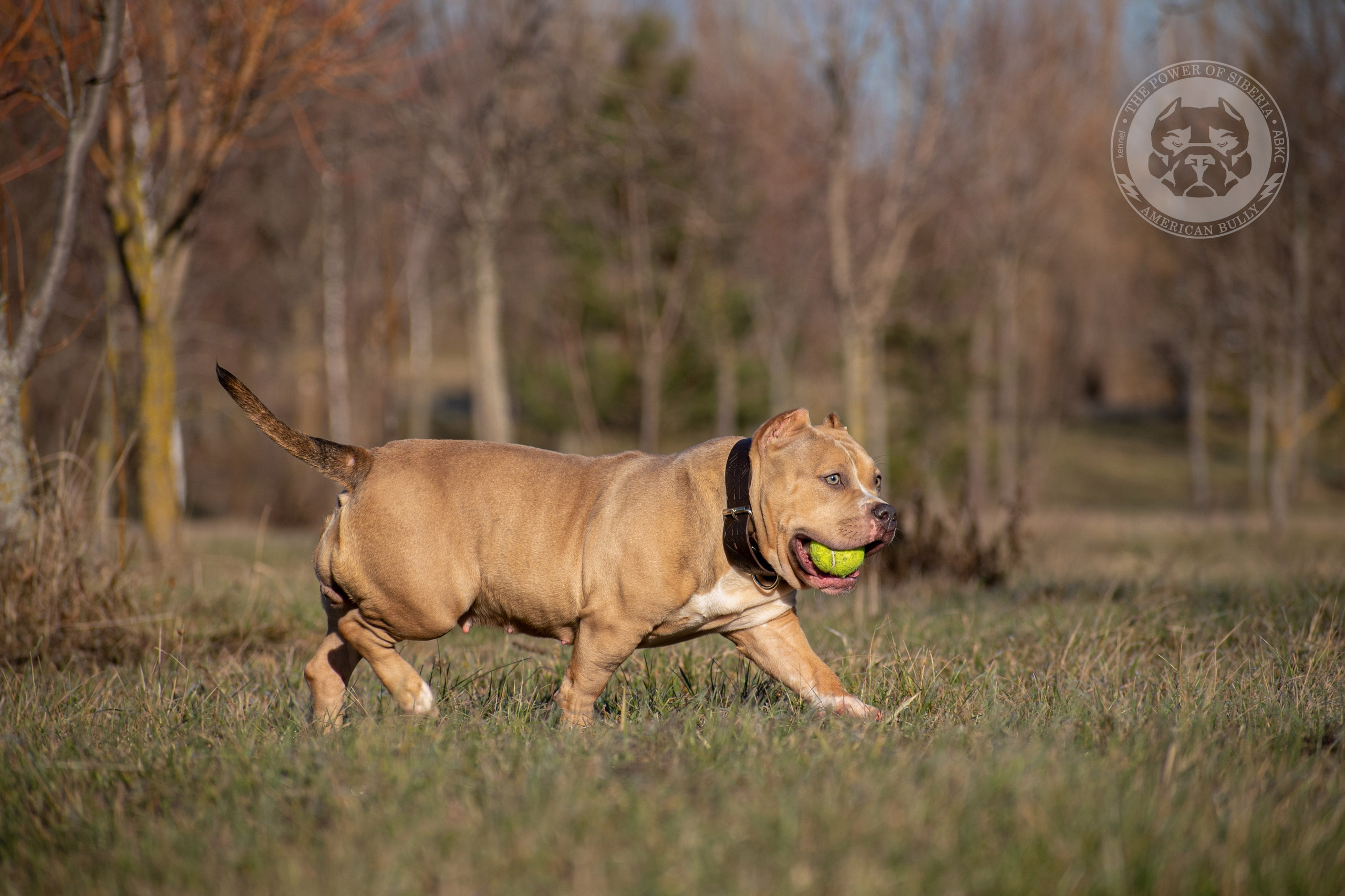 Фотопрогулки. Фотограф анималист в Ростове I Гончарова Анна