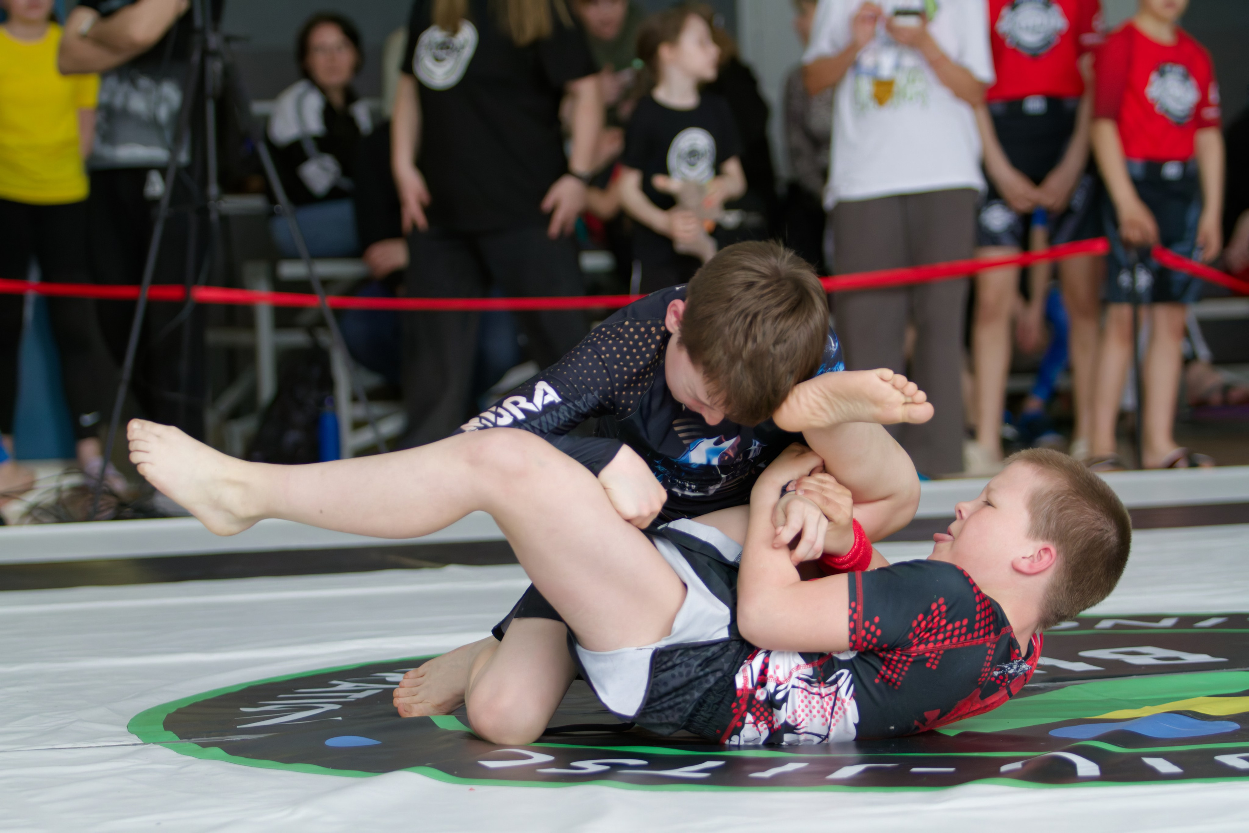 Борьба. Джиу-джитсу 26.04.2025. Репортажный и спортивный фотограф в г. Пермь Зильберг Павел