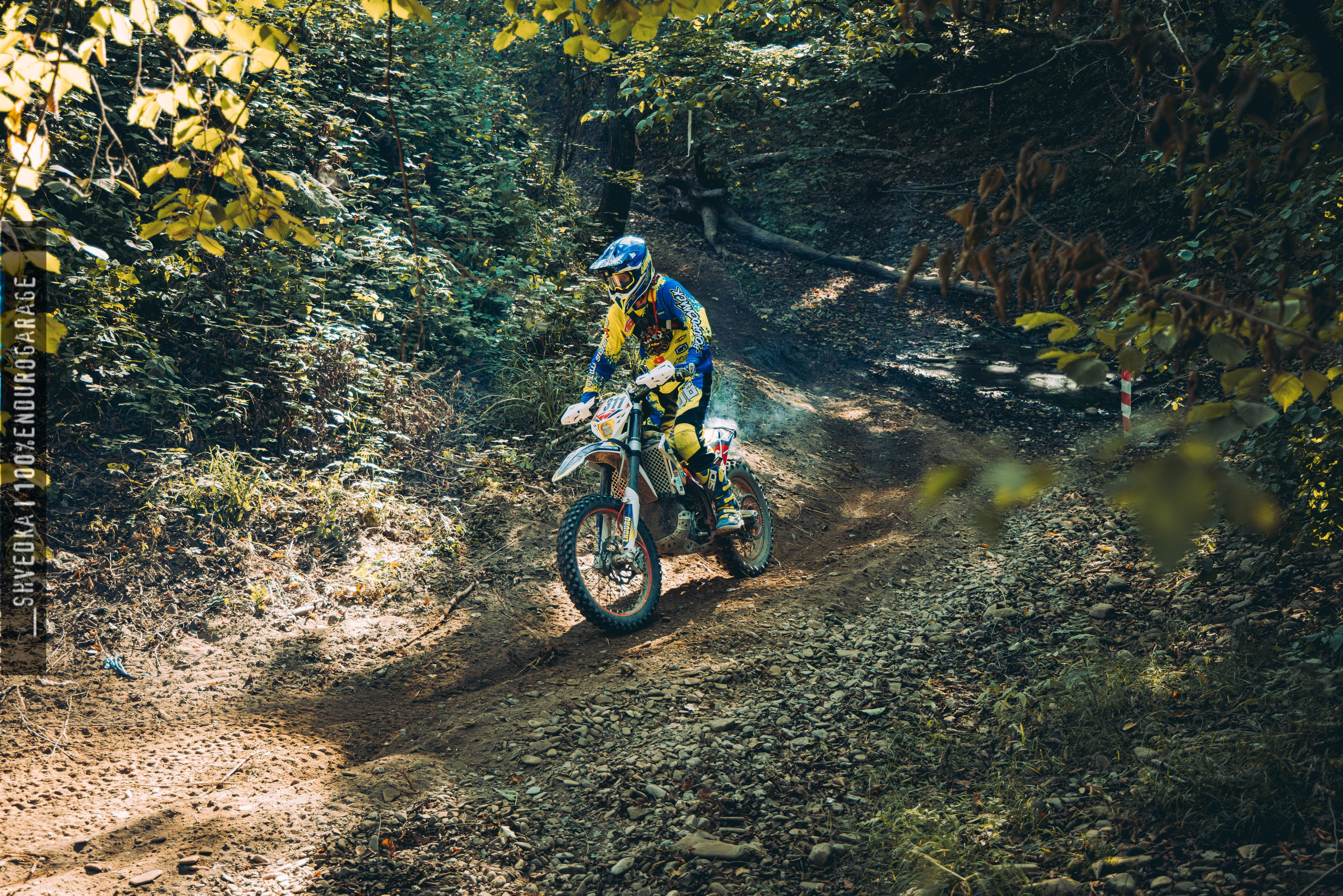 2 лесной день. Ваш экстрим фотограф Кудрева Яна