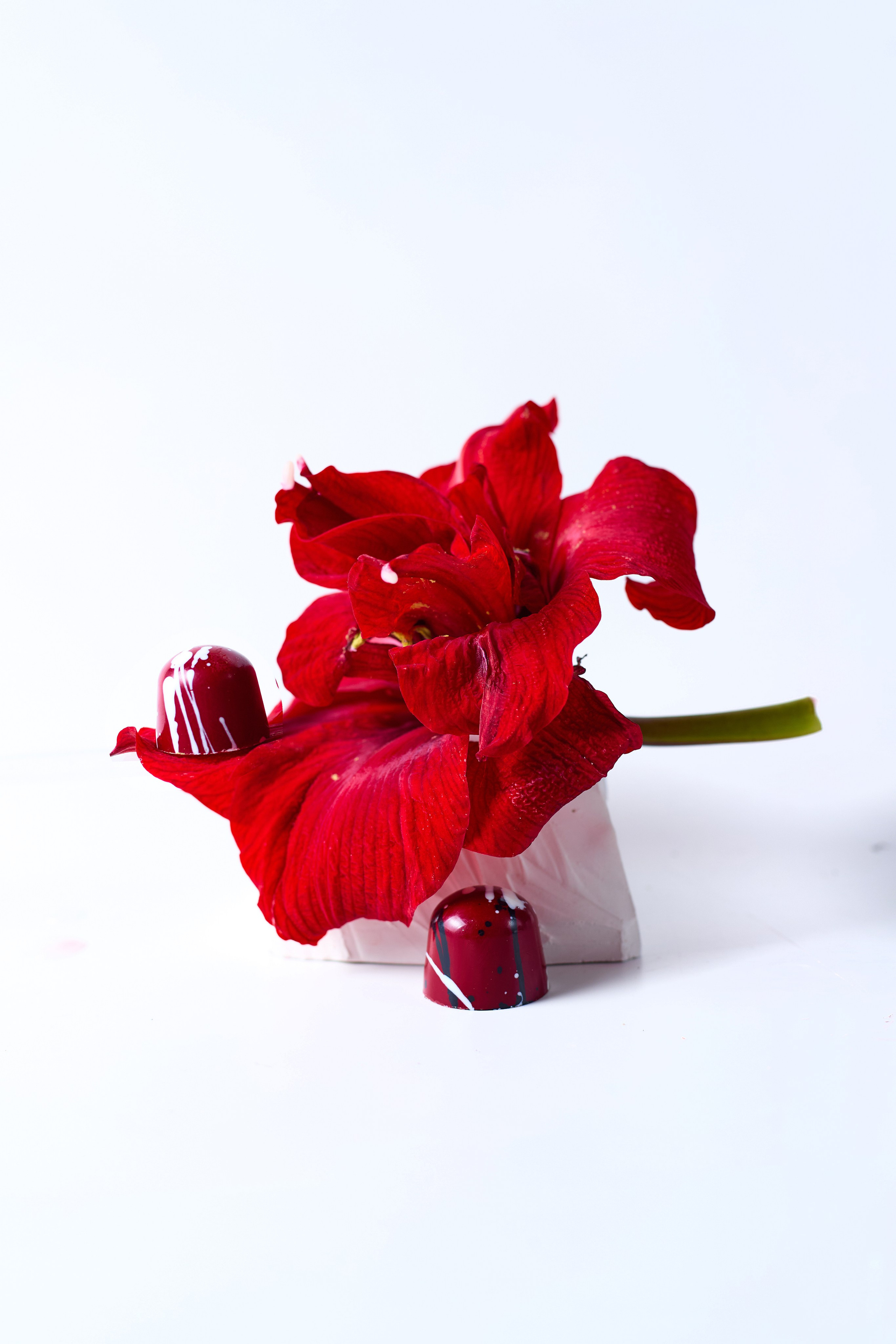 My Sweet Zen. Фотограф|Москва-СПб| Анастасия Рябинина