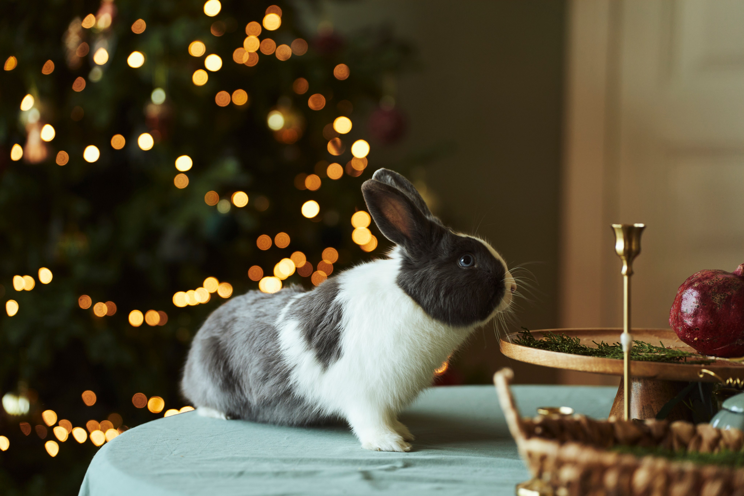 Семья Карпенко. Фотограф Иван Сосновский