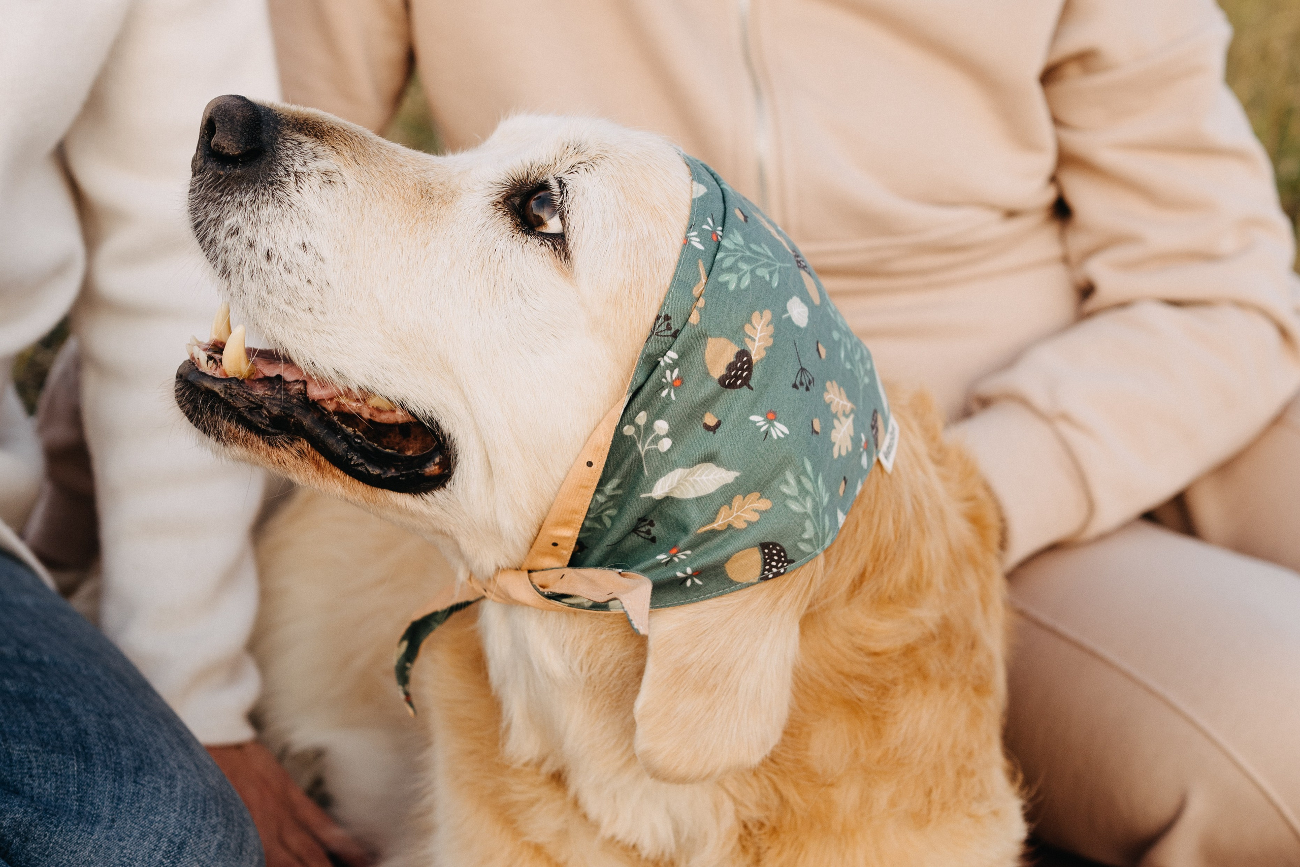 Дарья, Люба и Ред. Фотограф-анималист Анастасия Большакова